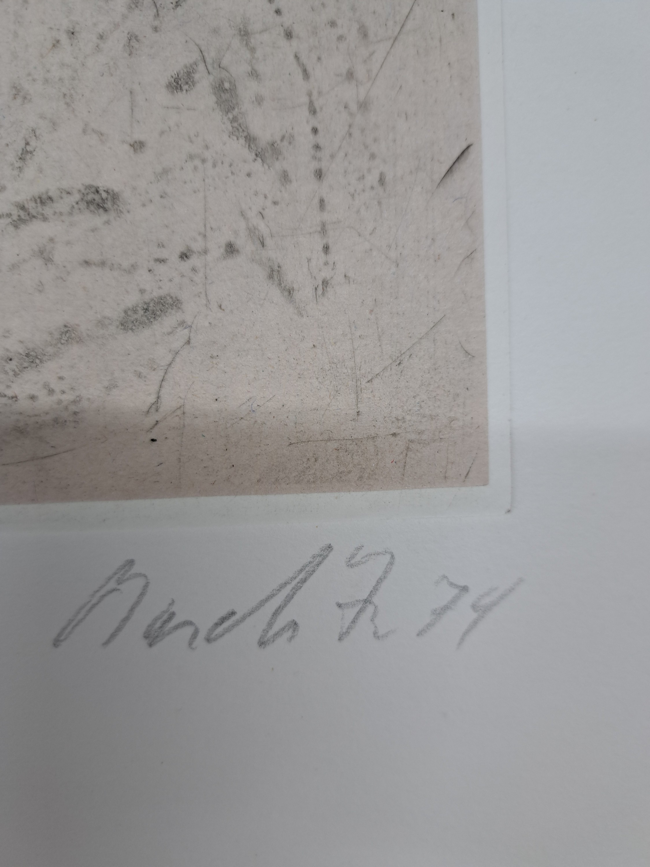 Detail c: Georg Baselitz, geb. 1938, Radierung aus der Folge: Bäume, 1974, handsign. und num. 4/30, ca. 30x24cm