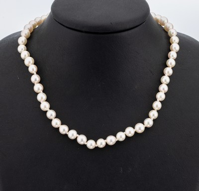 Image 26839908 - Überlanges Zuchtperl-Collier, endlos, Akoyazuchtperlen, D. ca. 6.5-7 mm, L. ca. ...