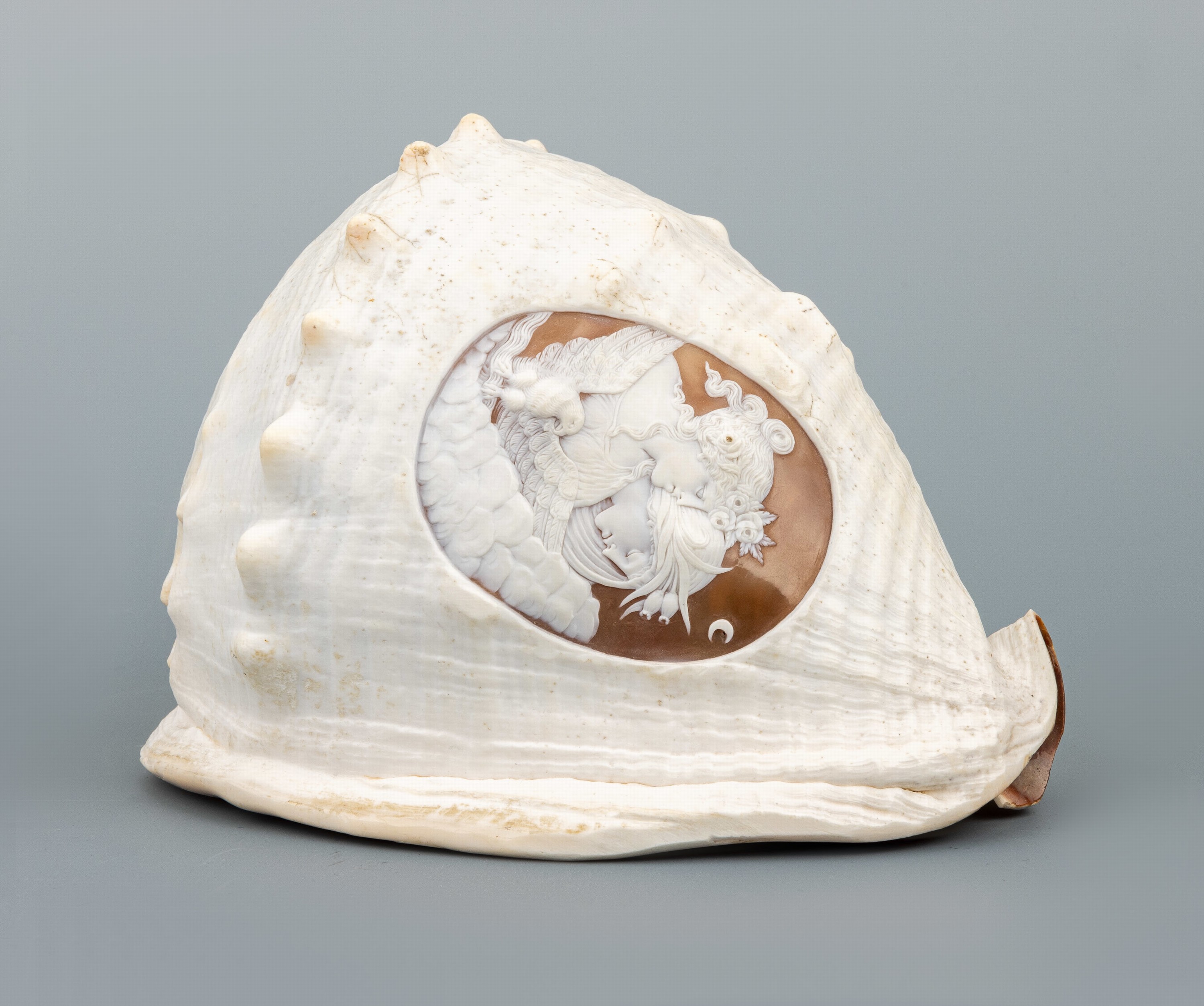 Detail a: Große Muschel mit gravierter Kamee, Italien, fein gravierte Kamee mit Darstellung Silene, Helios und Zeus als Adler, ca. 18 x 14 x 12 cm