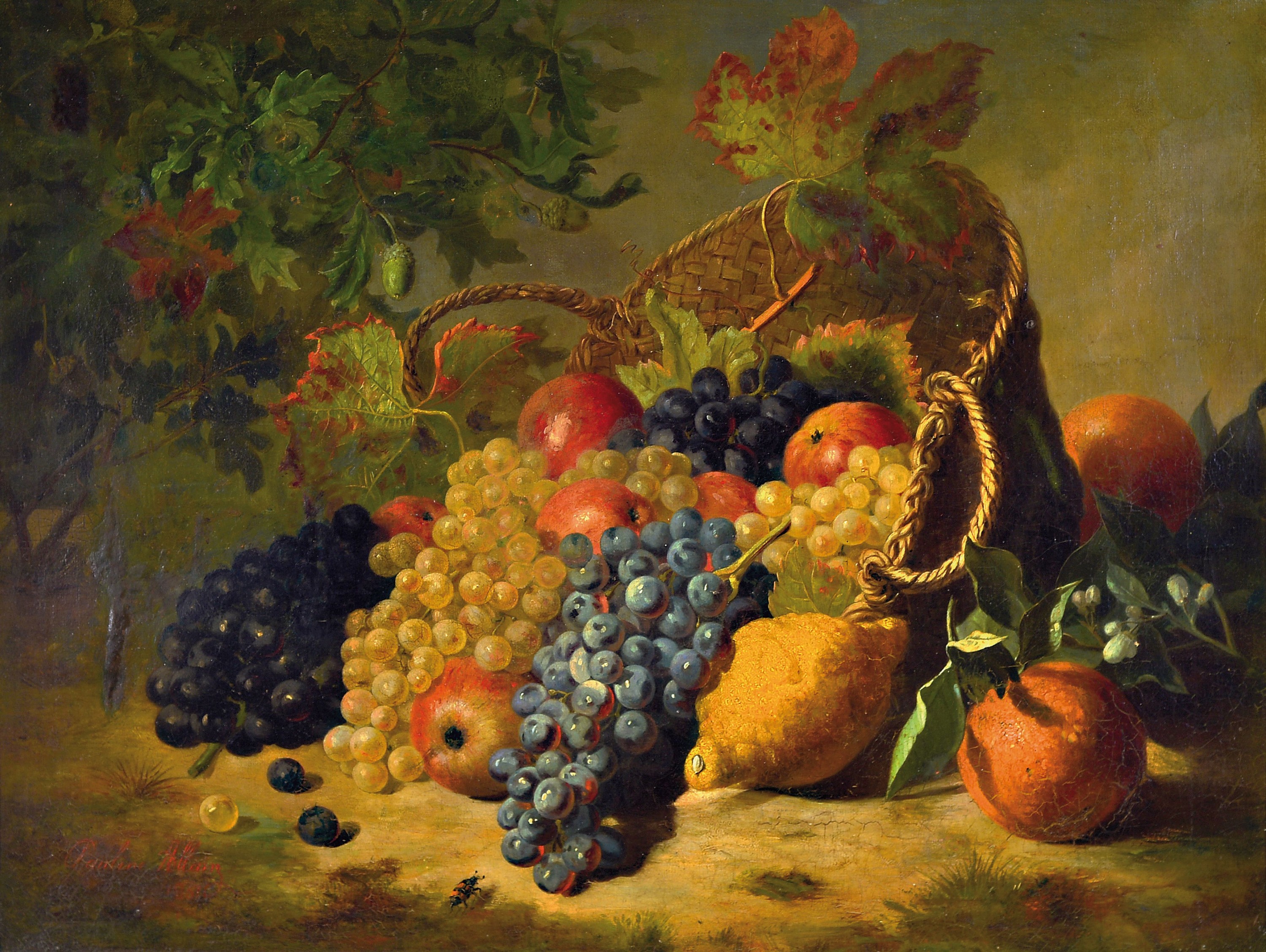 Pauline Allain (Jamet), Malerin des 19. Jh., Üppiges Obststillleben, Öl/Lwd, rest., doubl., links unten signiert, ca. 53x70cm, R. ca. 67x84cm