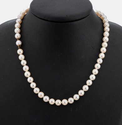 Image 26853821 - Zuchtperl-Collier, Akoyazuchtperlen, D. ca.6.8 mm, Steckschließe, GG 750/000, in ...