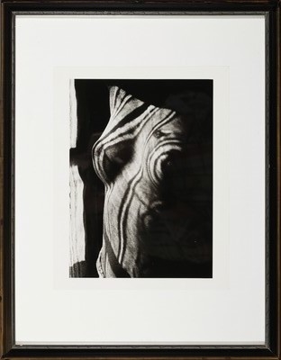 Detail k: Man Ray, 1890 Philadelphia-1976 Paris, Retour a la raison, Edition griffelkunst 1991, Blattgr. ca. 30.5x24cm, u.Gl., R.