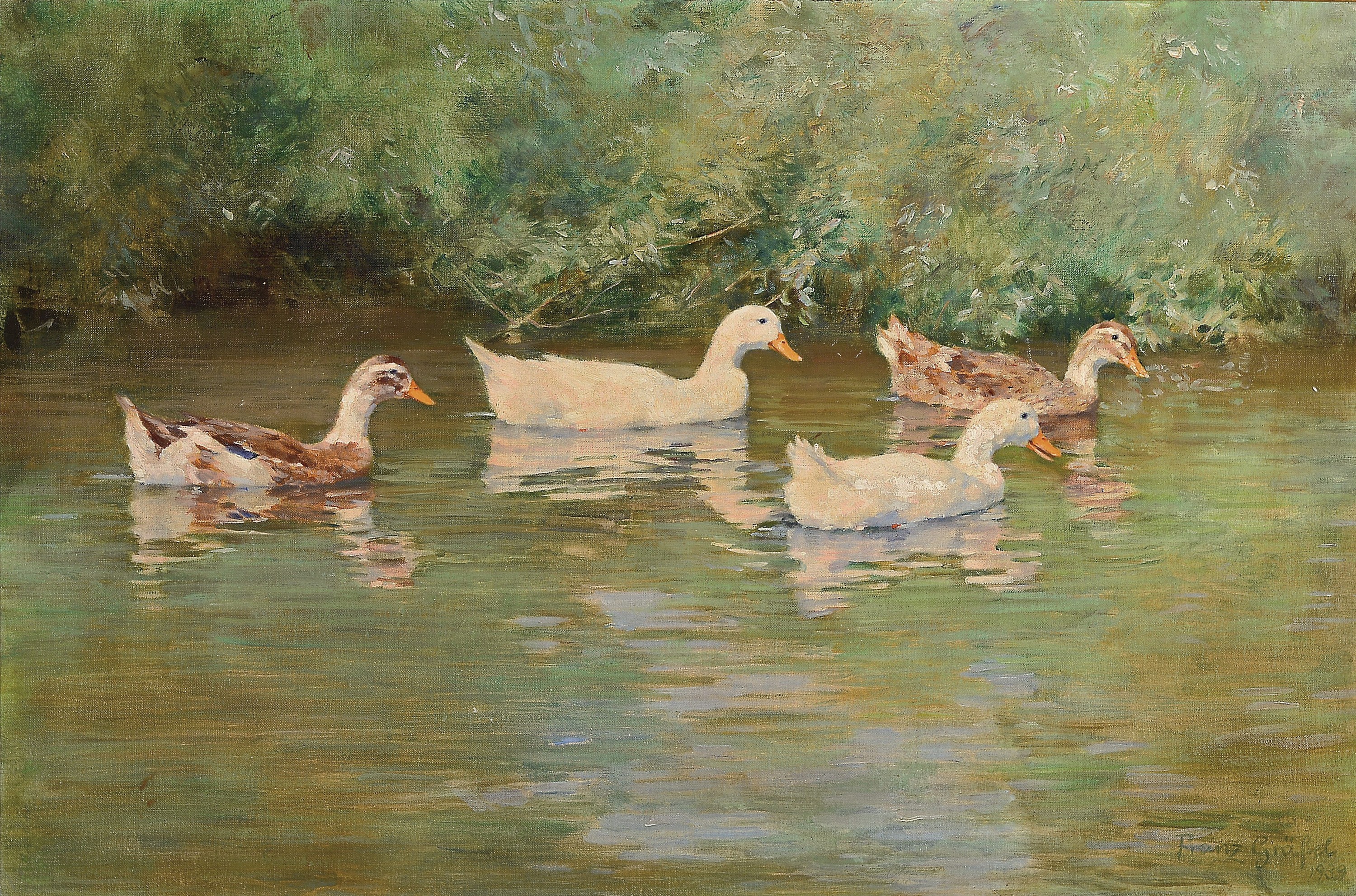 Franz Grässel, 1861 Obersasbach/Baden-1948 Emmering, Schwimmende Enten, rückseitig so betitelt, Öl/Lwd, rechts unten signiert, ca. 44x65cm, R. ca. ...
