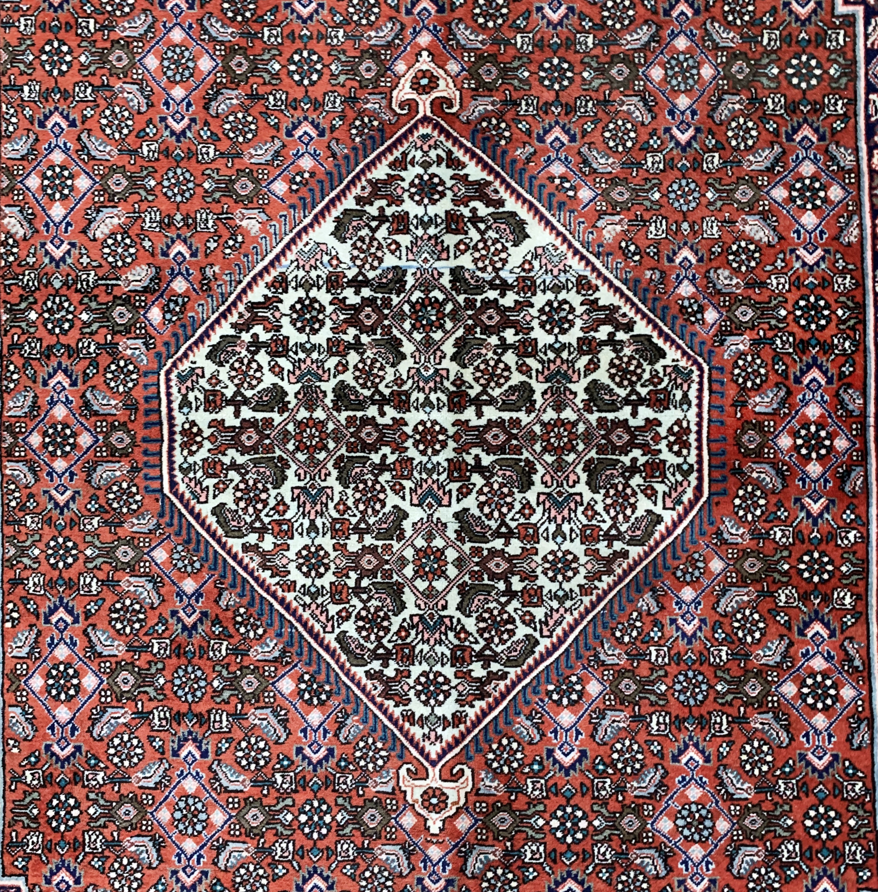 Detail b: Bidjar, Persien, Ende 20.Jhd, Wolle auf Baumwolle, ca. 216 x 143 cm, EHZ: 2