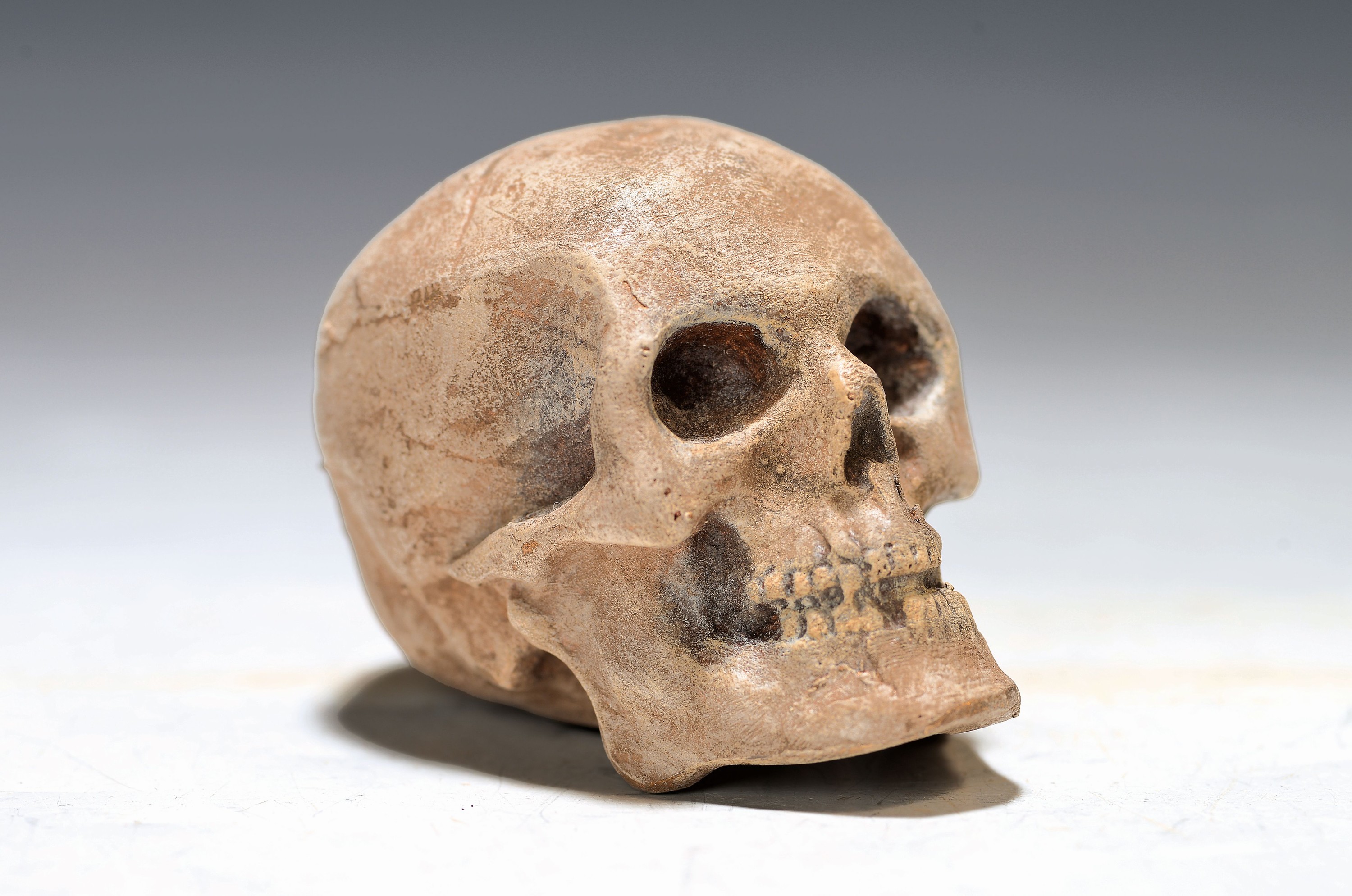 Totenkopf, Wiener Bronze, sign. Bergmann, polychrom staffiert, H.ca. 5cm