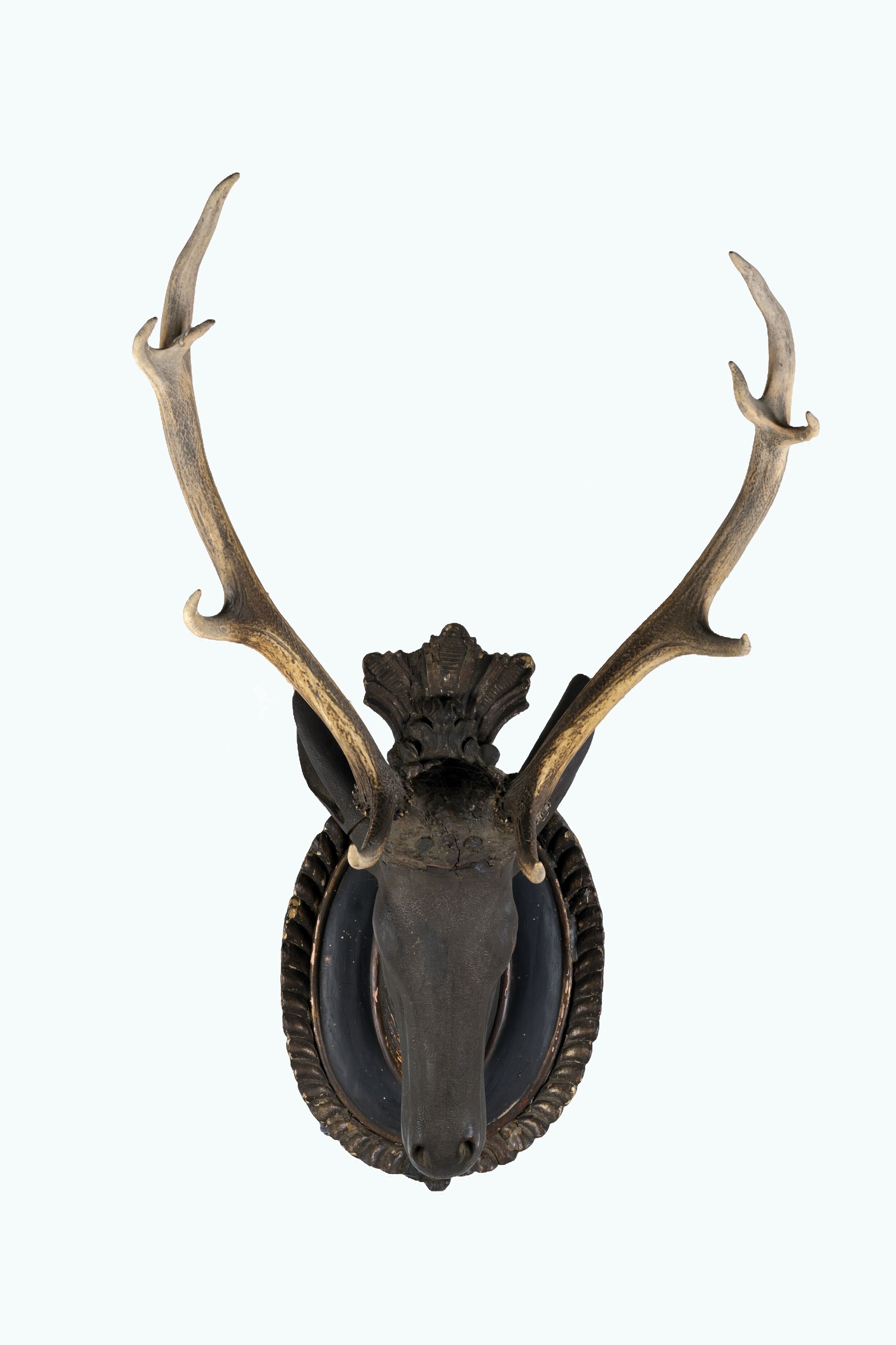 Jagdtrophäe, wohl süddeutsch, 2. Hälfte 19. Jh., Hirschkopf mit original 10ender- Hirschgeweih, Kopf Holz geschnitzt, altersbedingt am Holz ...