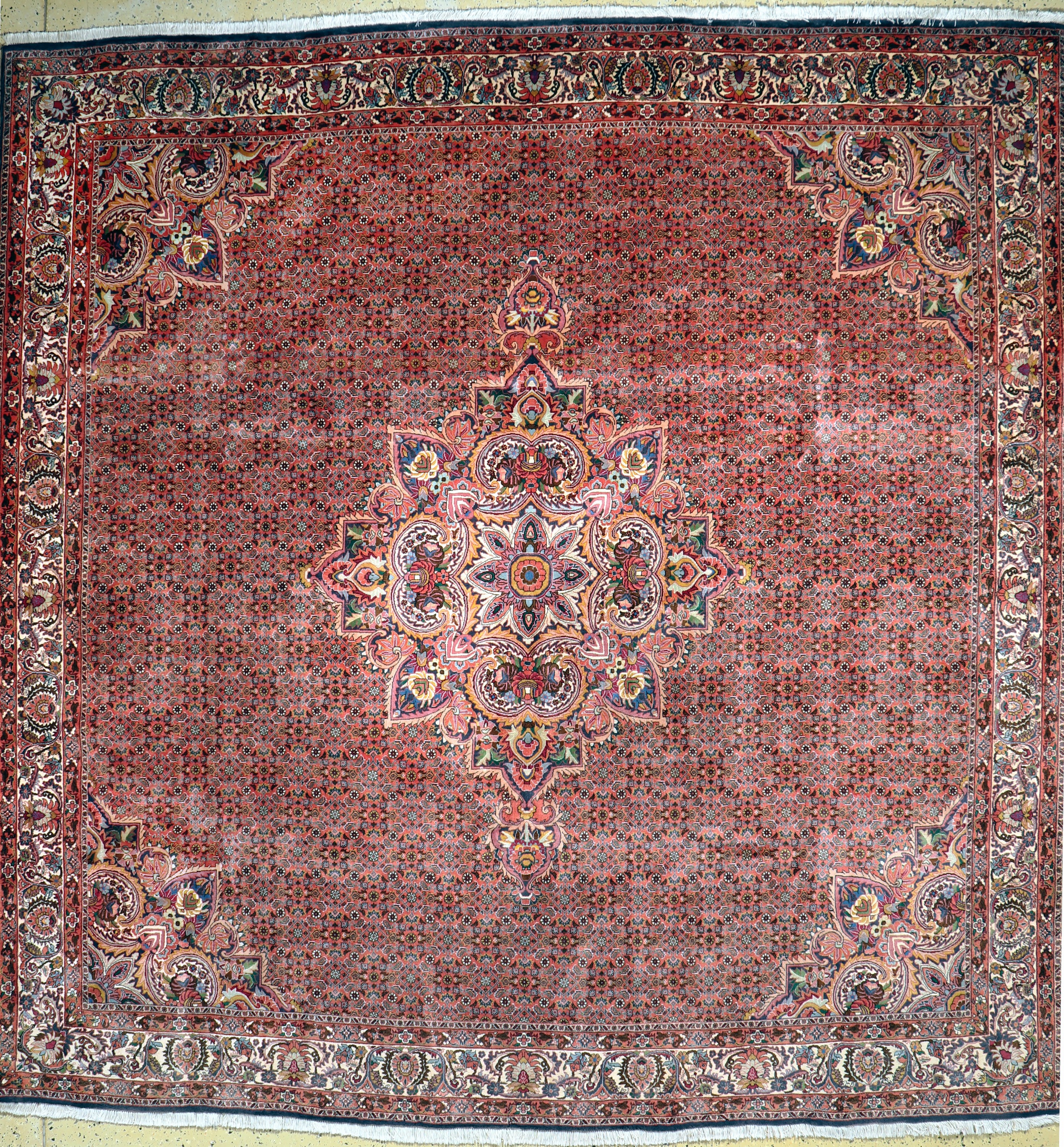 Bidjar, Persien, Mitte 20.Jhd., Wolle auf Baumwolle, ca. 304 x 304 cm, EHZ: 2 (verblasst).
