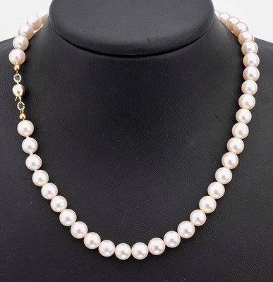 Image 26878612 - Zuchtperl-Collier mit 14 kt Gold Schließe, GG 585/000, Akoyazuchtperlen, D. ca. ...