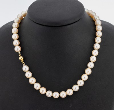 Image 26878944 - Zuchtperl-Collier mit 14 kt Gold Schließe, GG 585/000, Akoyazuchtperlen, D. ca. ...
