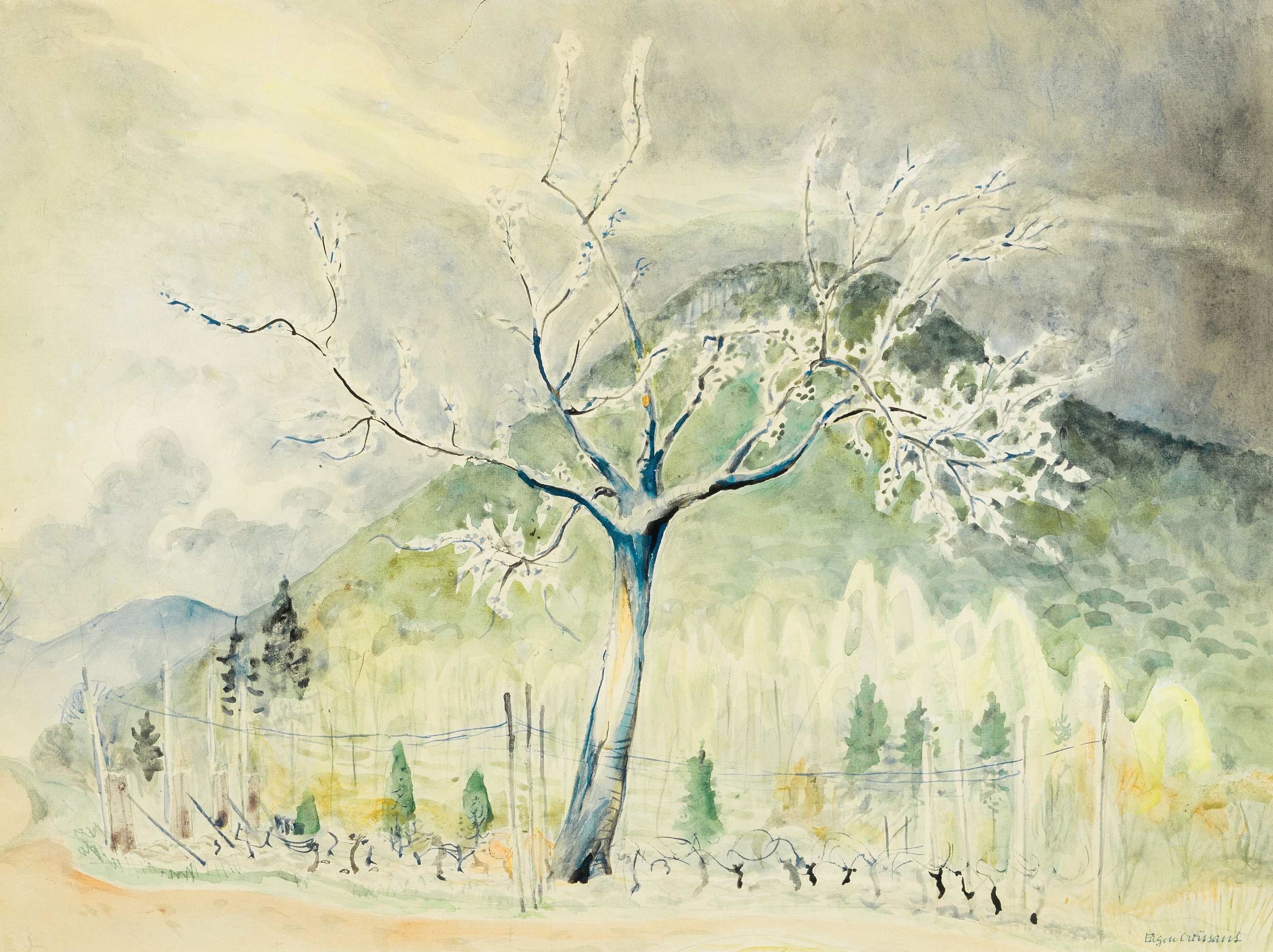 Eugen Croissant, 1898 Landau-1976 Breitbrunn, Blühender Baum, Aquarell auf Papier,rechts unten signiert, ca. 45x60cm, PP, u.Gl., R. ca. 64x80cm