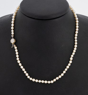 Image 26884291 - Perl-Collier mit 18 kt Gold Diamant-Schließe, um 1900, GG 750/000 gepr., ...