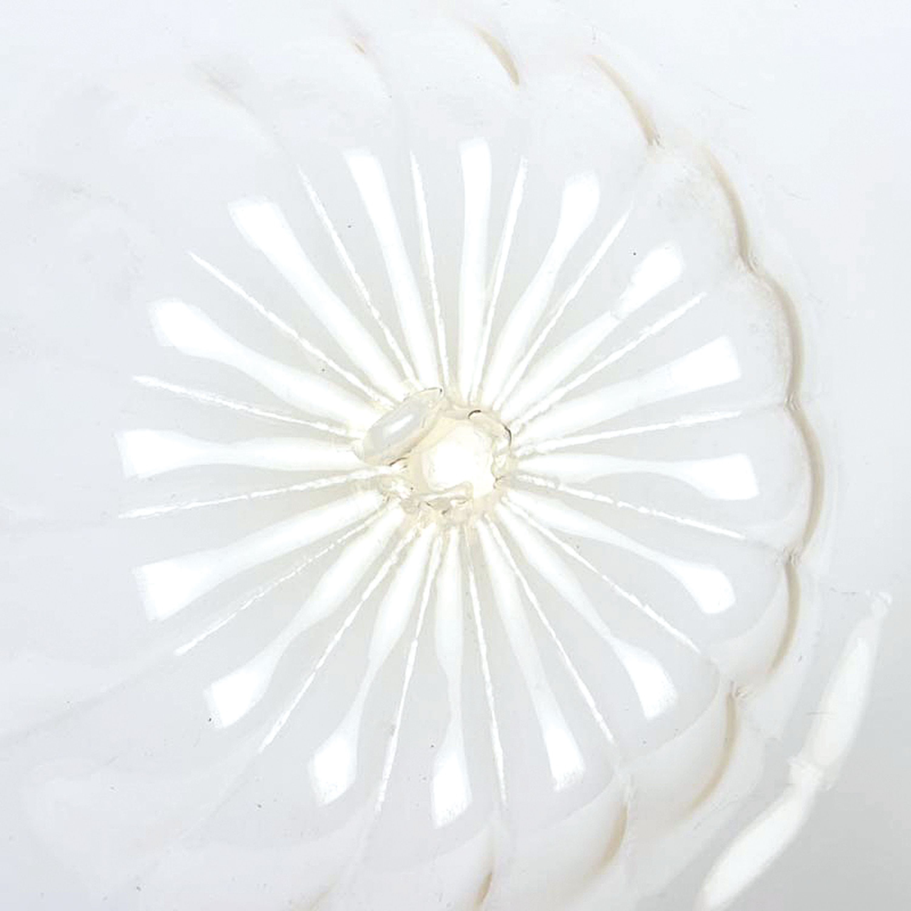 Detail d: Große Glasschale, wohl Vetri Soffiati Cappellin Venini, Murano, Italien, 1.Hälfte 20. Jh., dünnwandiges honiggelbes Glas, D. 42 cm