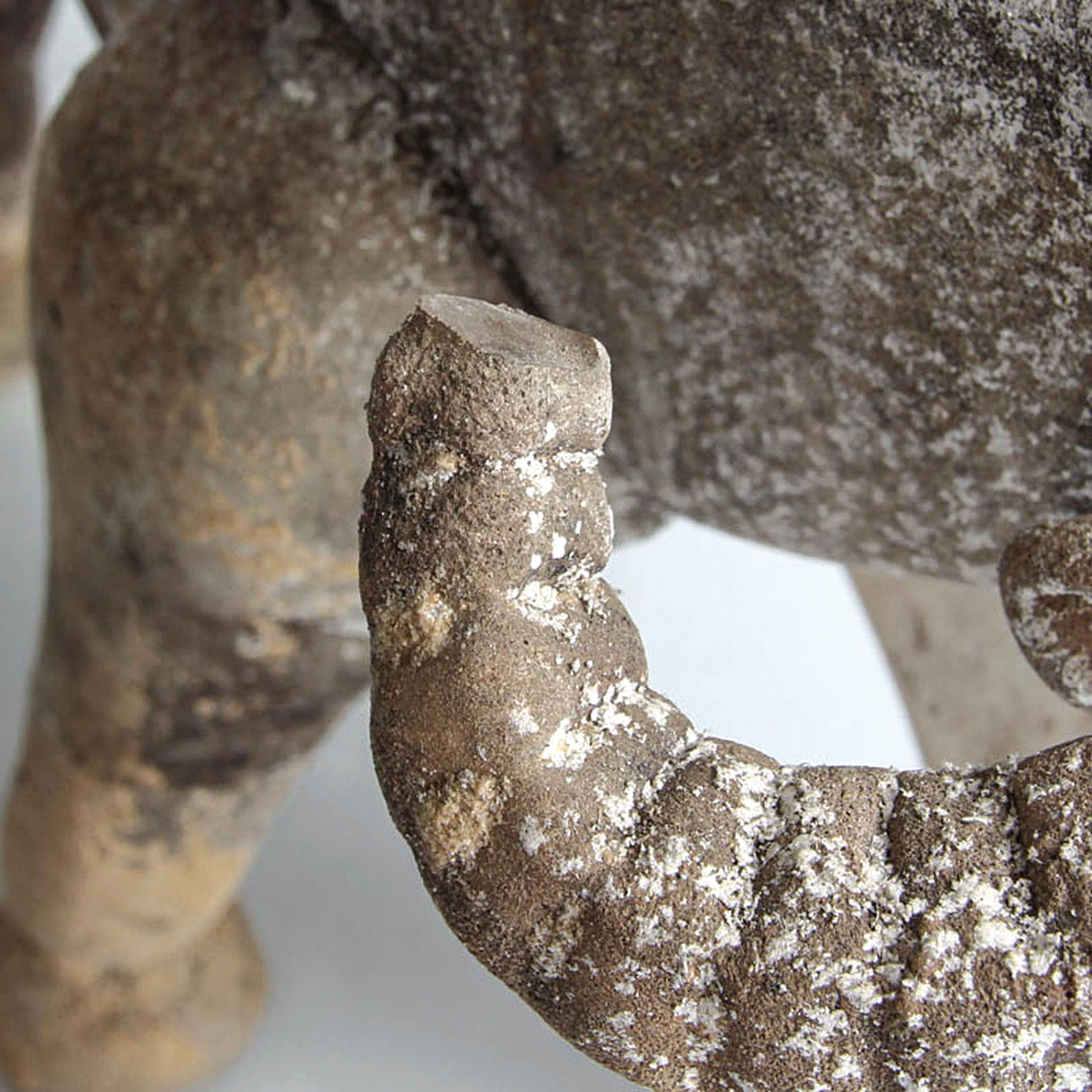Detail f: Vetro a scavo-Glasskulptur Wasserbüffel, Ermanno Nason für Cenedese, Murano, Italien, farbloses Glas, matte und aufgeraute Oberfläche in vetro a ...