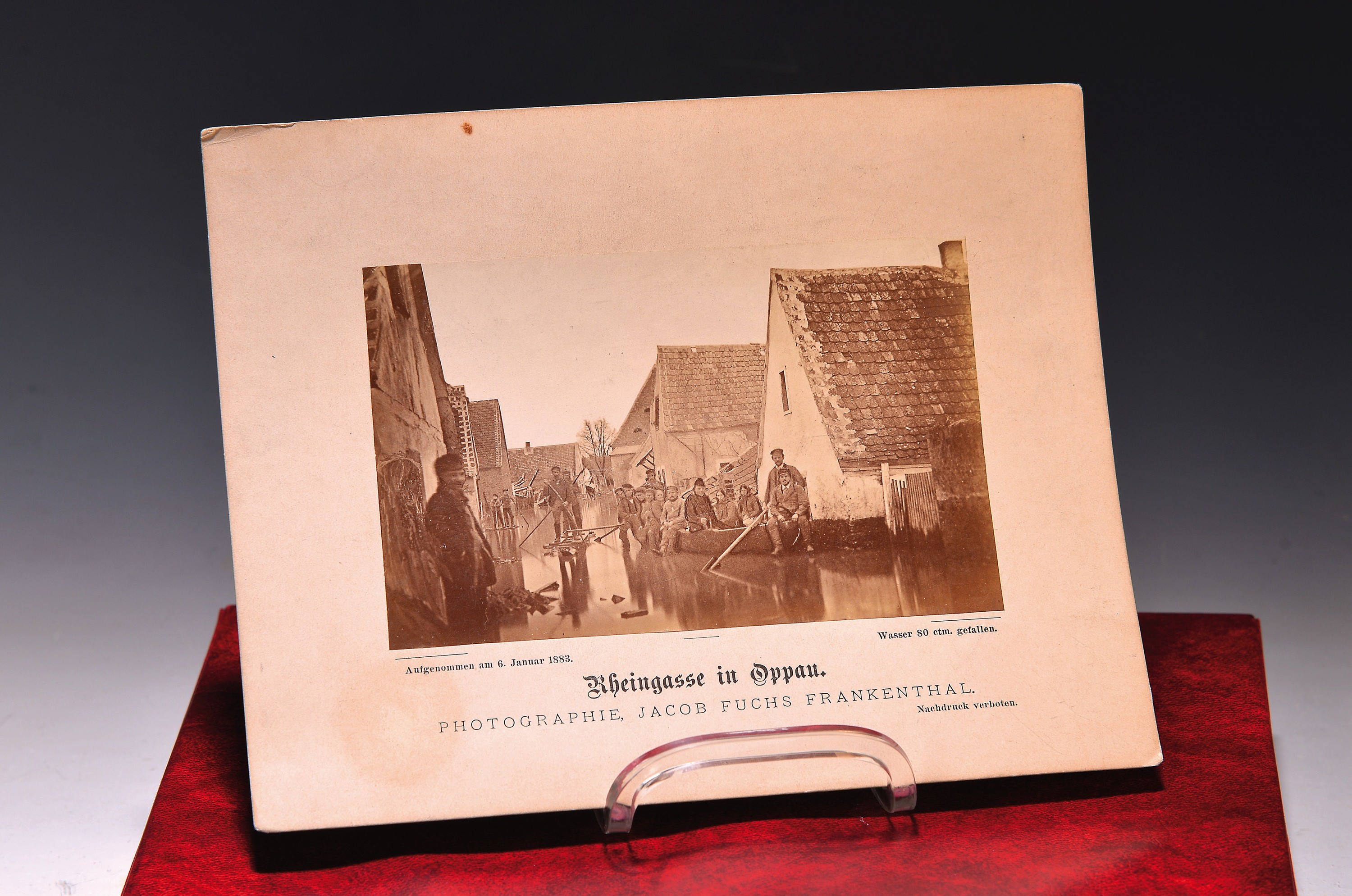 Sammlung aus 16 Fotografien zum Rekord- Rheinhochwasser 1882/83, mit Dammbruch in Oppau und Edigheim, zeitgen. orig. Fotos der Katastrophe, ...