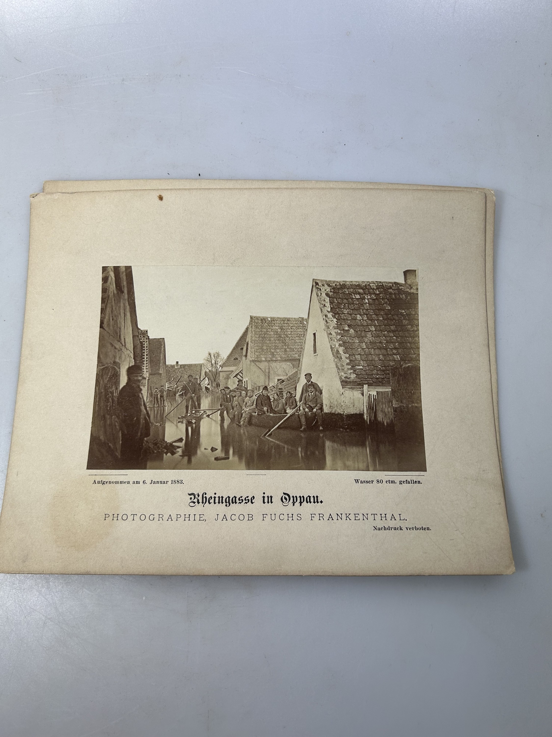 Detail a: Sammlung aus 16 Fotografien zum Rekord- Rheinhochwasser 1882/83, mit Dammbruch in Oppau und Edigheim, zeitgen. orig. Fotos der Katastrophe, ...