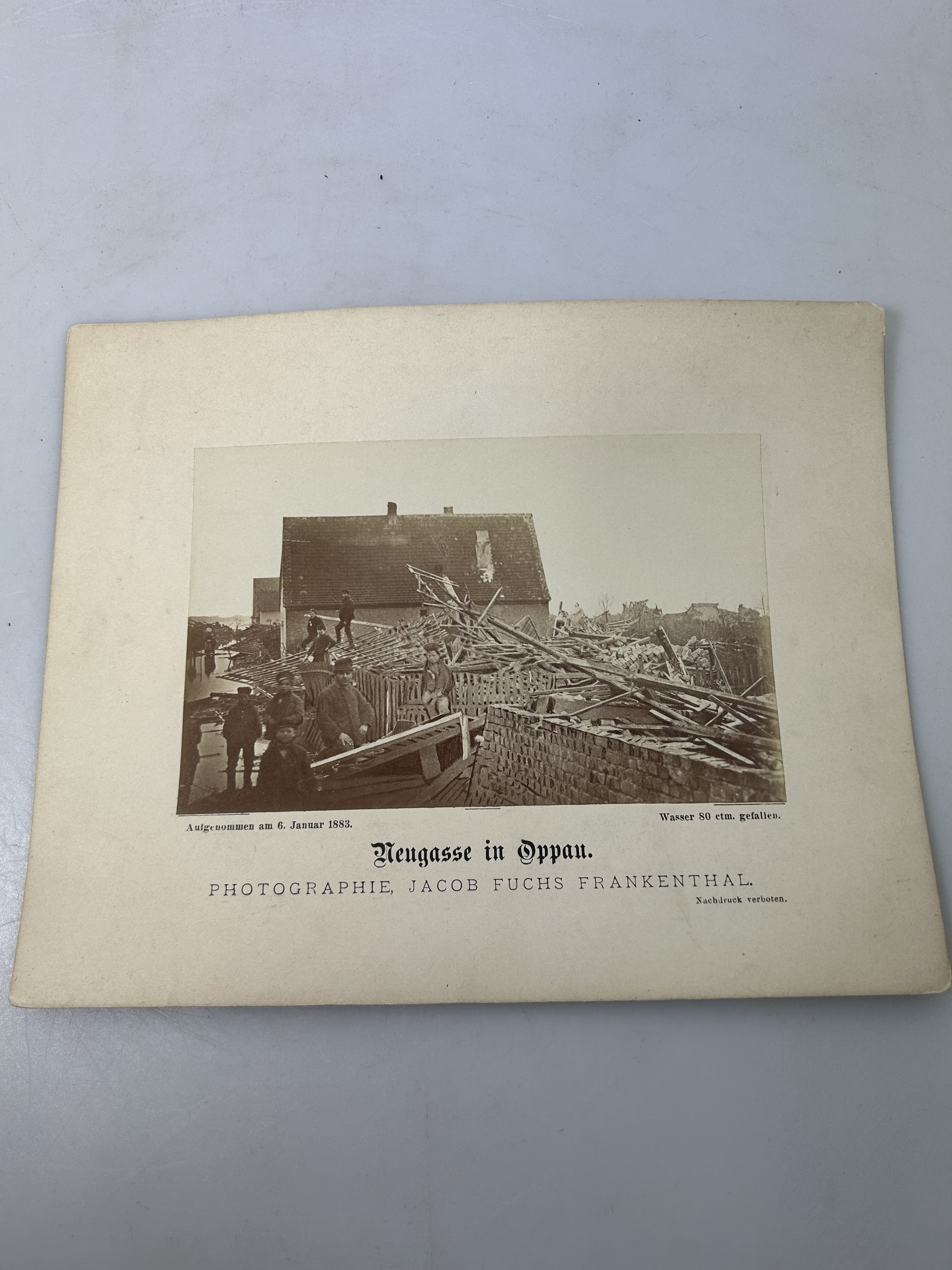 Detail b: Sammlung aus 16 Fotografien zum Rekord- Rheinhochwasser 1882/83, mit Dammbruch in Oppau und Edigheim, zeitgen. orig. Fotos der Katastrophe, ...
