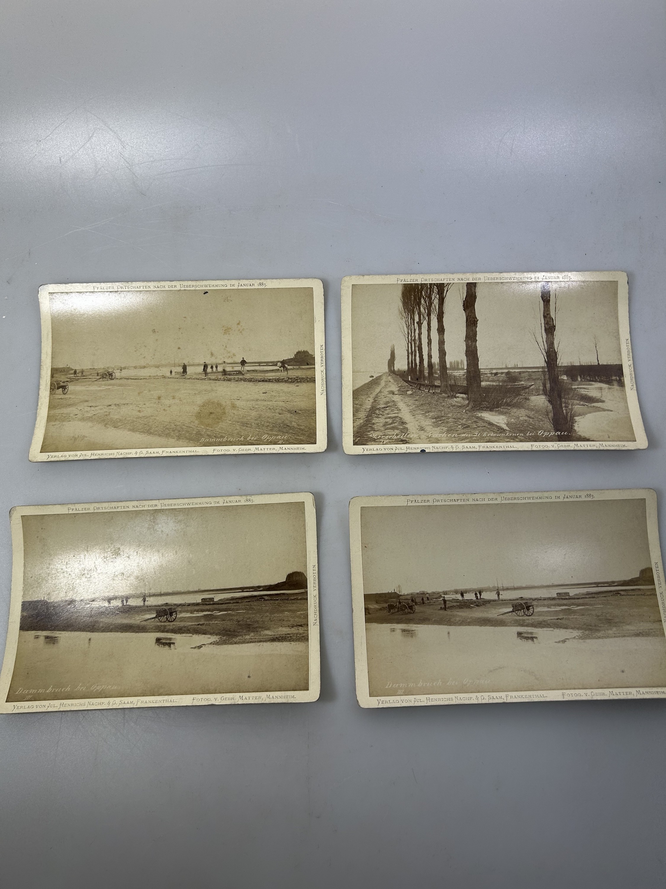 Detail d: Sammlung aus 16 Fotografien zum Rekord- Rheinhochwasser 1882/83, mit Dammbruch in Oppau und Edigheim, zeitgen. orig. Fotos der Katastrophe, ...