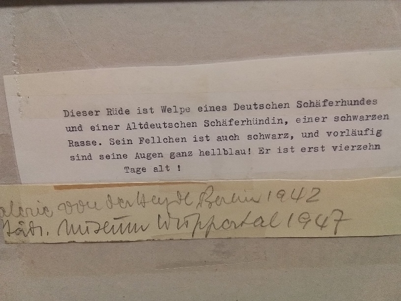 Detail c: Daisy Rittershaus, 1920 Rheydt-1987 Konstanz, 2 Tuschfederzeichnungen: Schäferhund-Welpe,monogr., ca. 19x16cm, PP, u.Gl., R. ca. 40x36 cm; ...