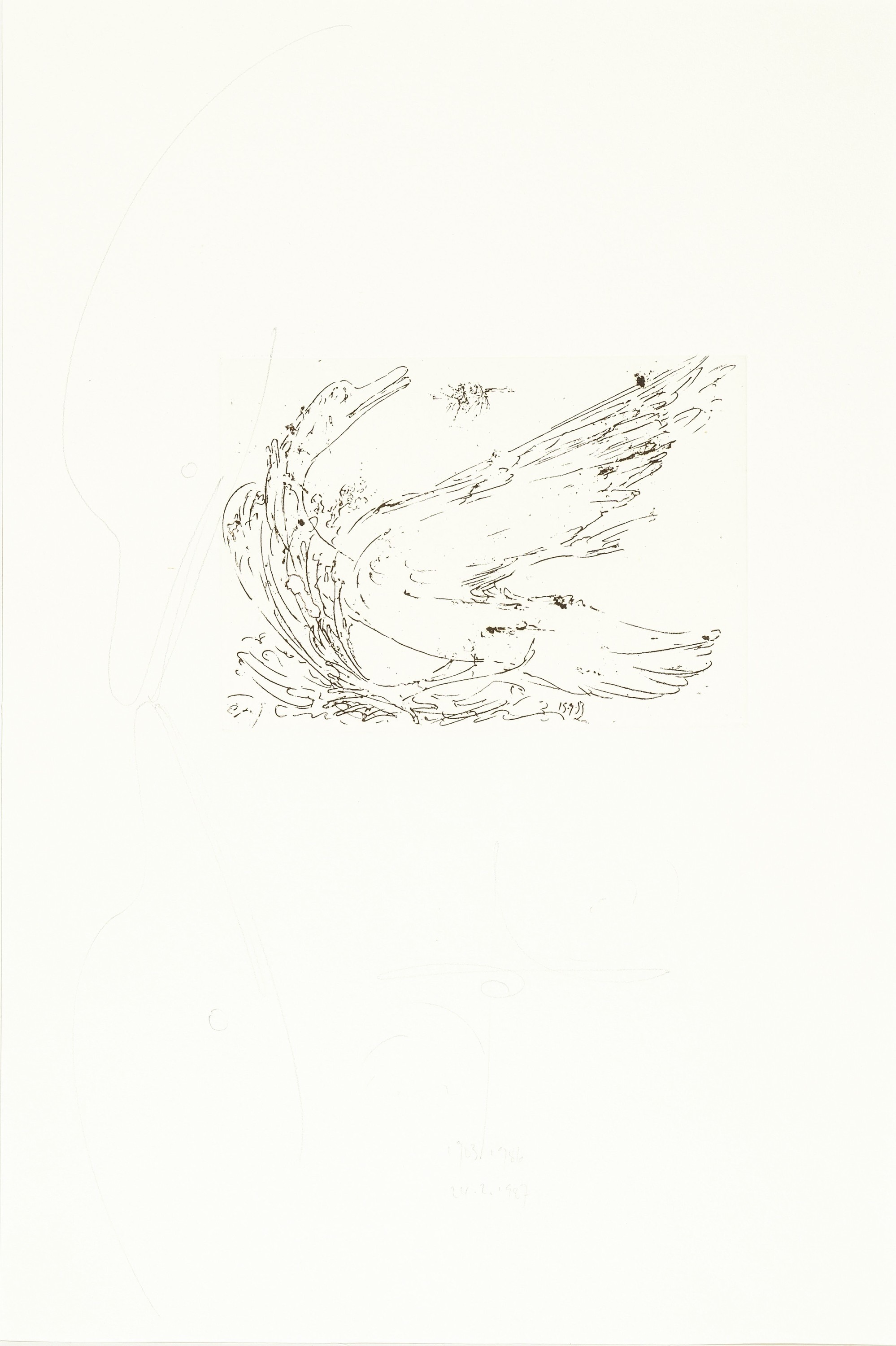 Detail b: Jonas Hafner, geb. 1940 Augsburg, Schwan und Fliegen-schnäbelnde Schwäne, Radierung mit weiterführender Bleistift- Zeichnung, sign. und dat. 1983, ...