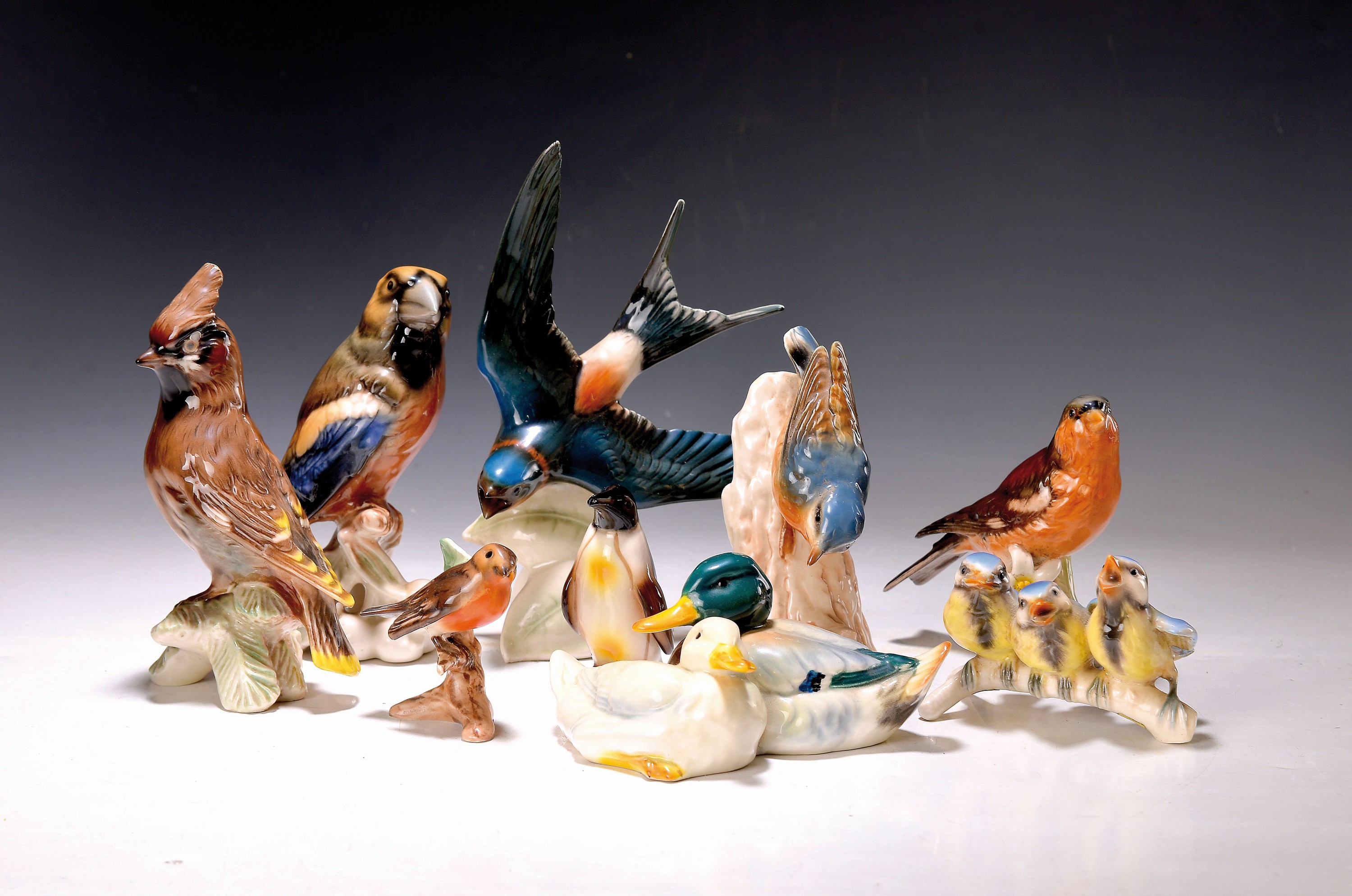 12 Vögel, Goebel, 2. Hälfte 20. Jh., Steingut, bunt bemalt, naturalistische Darstellungen, u.a. Kernbeißer, Pinguin, Bienenfresser, ...