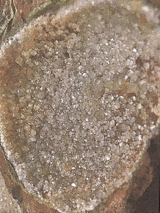 Detail a: Gelege von 3 Hadrosaurier-Eiern auf Steinplatte 19 x 17 x 7 cm, der Jiangxi/China Kreidezeit, 100 Mio. J. alt, zwei Eier sind auskristallisiert, was ...
