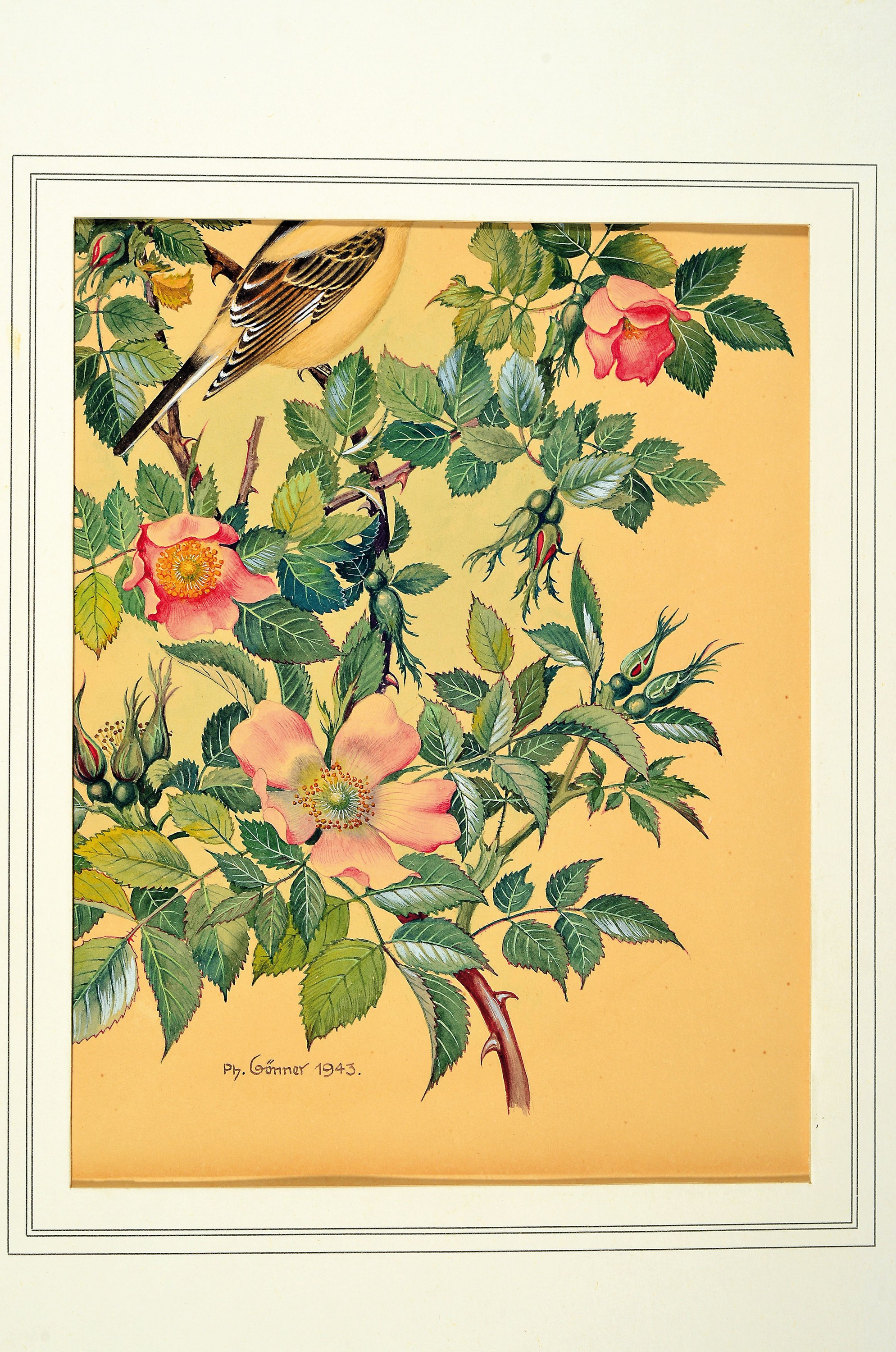 Detail k: Philipp Gönner, 1879-1954, zwei Aquarelle: Wenn die Heckenrosen blühen und Notzeit, feine detaillierte Aquarelle mit Darst. von Gartenvögel in ...