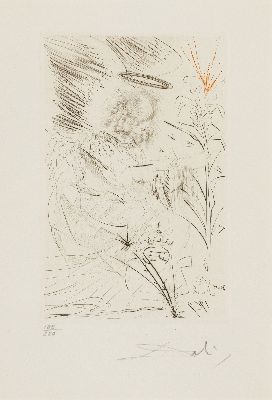 Image Salvador Dali, 1904-1989, L'Ange, 1969, Farb-Kaltnadelradierung, ...