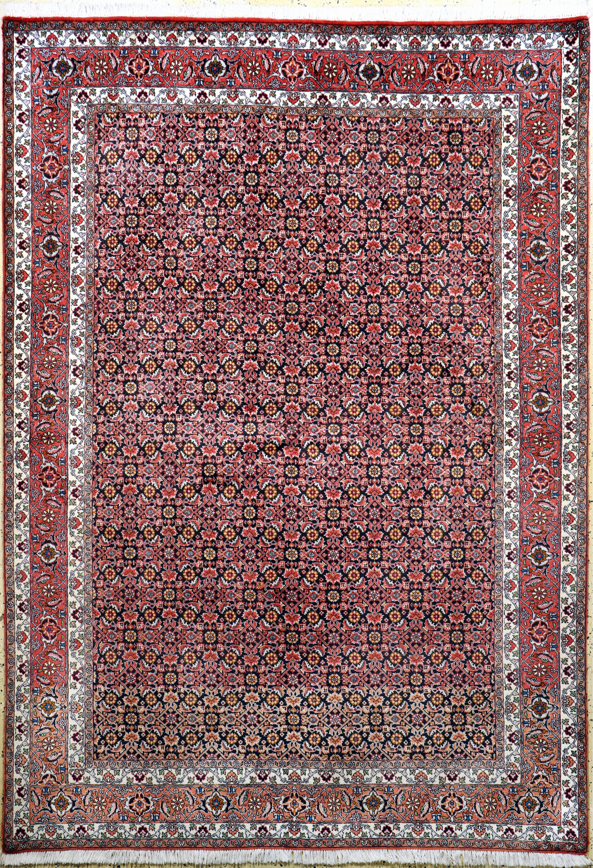 Bidjar fein, Persien, Ende 20.Jhd, Korkwolle auf Baumwolle, ca. 244 x 172 cm, gereinigt, EHZ: 2