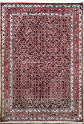 Image Bidjar fein, Persien, Ende 20.Jhd, Korkwolle auf Baumwolle, ca. 244 x 172 cm, ...