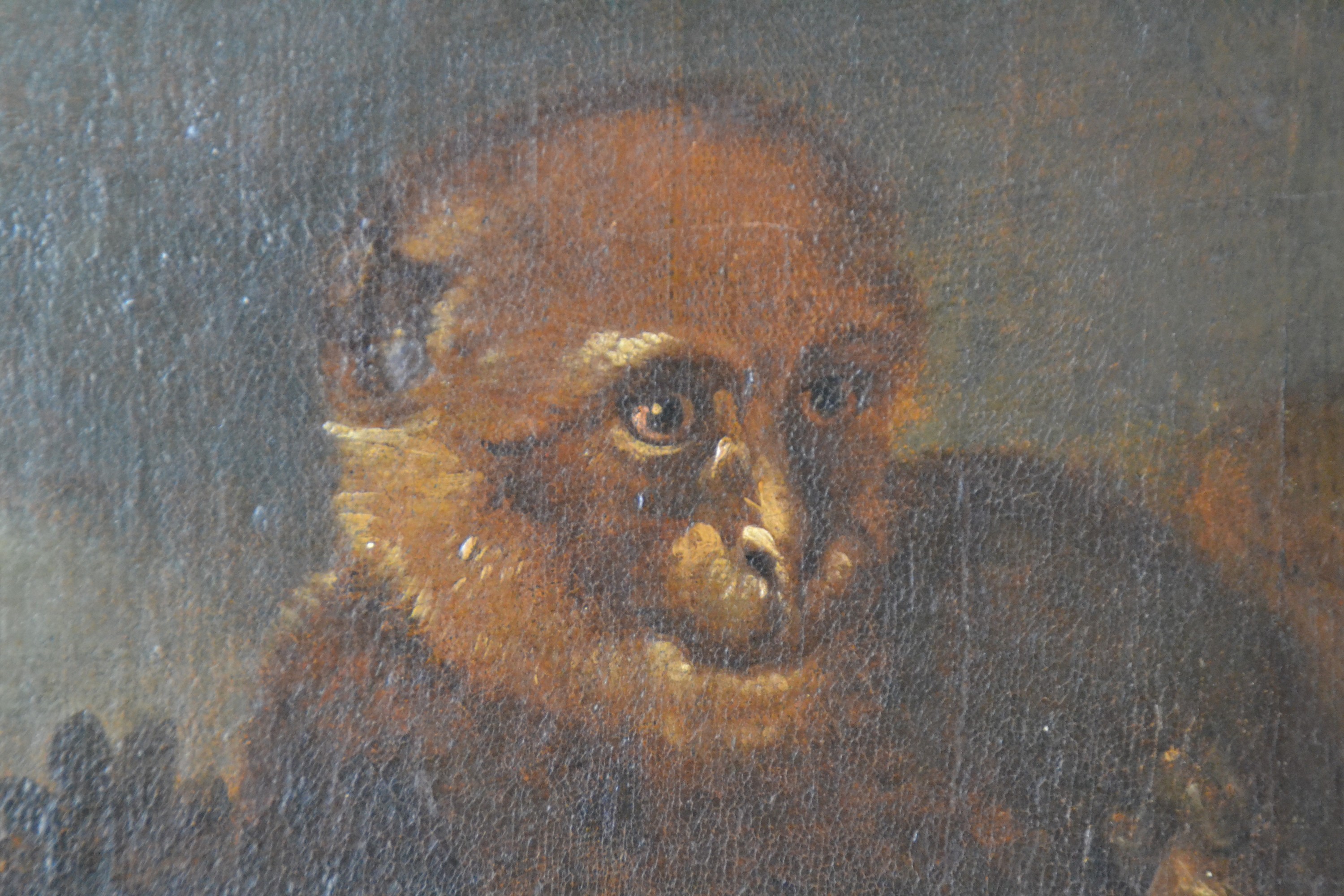 Detail d: Zuschreibung: Francesco Londonio, 1723-1783 Mailand, drei Affen, Öl/Lwd, unsigniert, ca. 62x40cm, R. ca. 78x55cm
