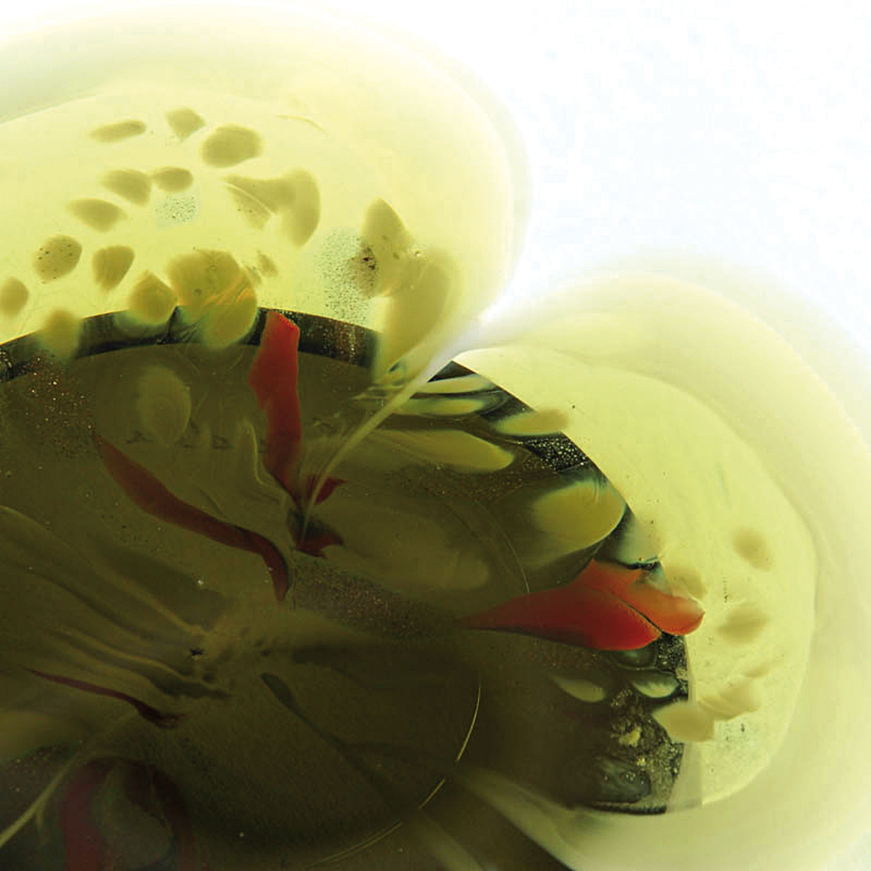 Detail m: Zwei Glaszierplatten und eine Schüssel, Cenedese, Murano, farbloses Glas, farbige Einschmelzungen, A macchie, D. 30 / 32 / 25 cm
