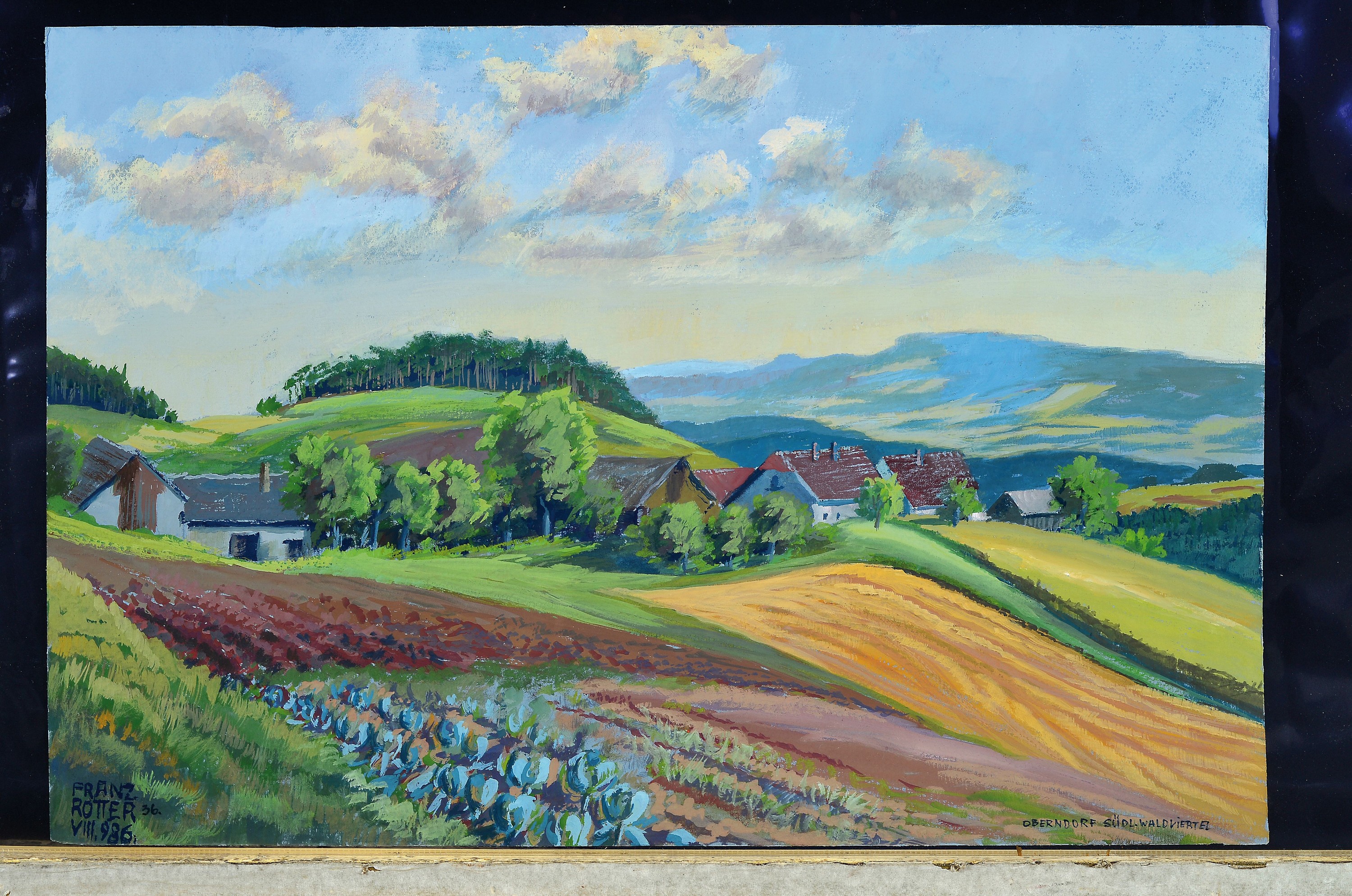 Detail k: Franz Rotter, 1900-1944, 2 Aquarelle, "Bischofsmütze von Filzmoos" 38x31 cm, und "Oberndorf-Südliches Waldviertel" 32x48 cm, ...