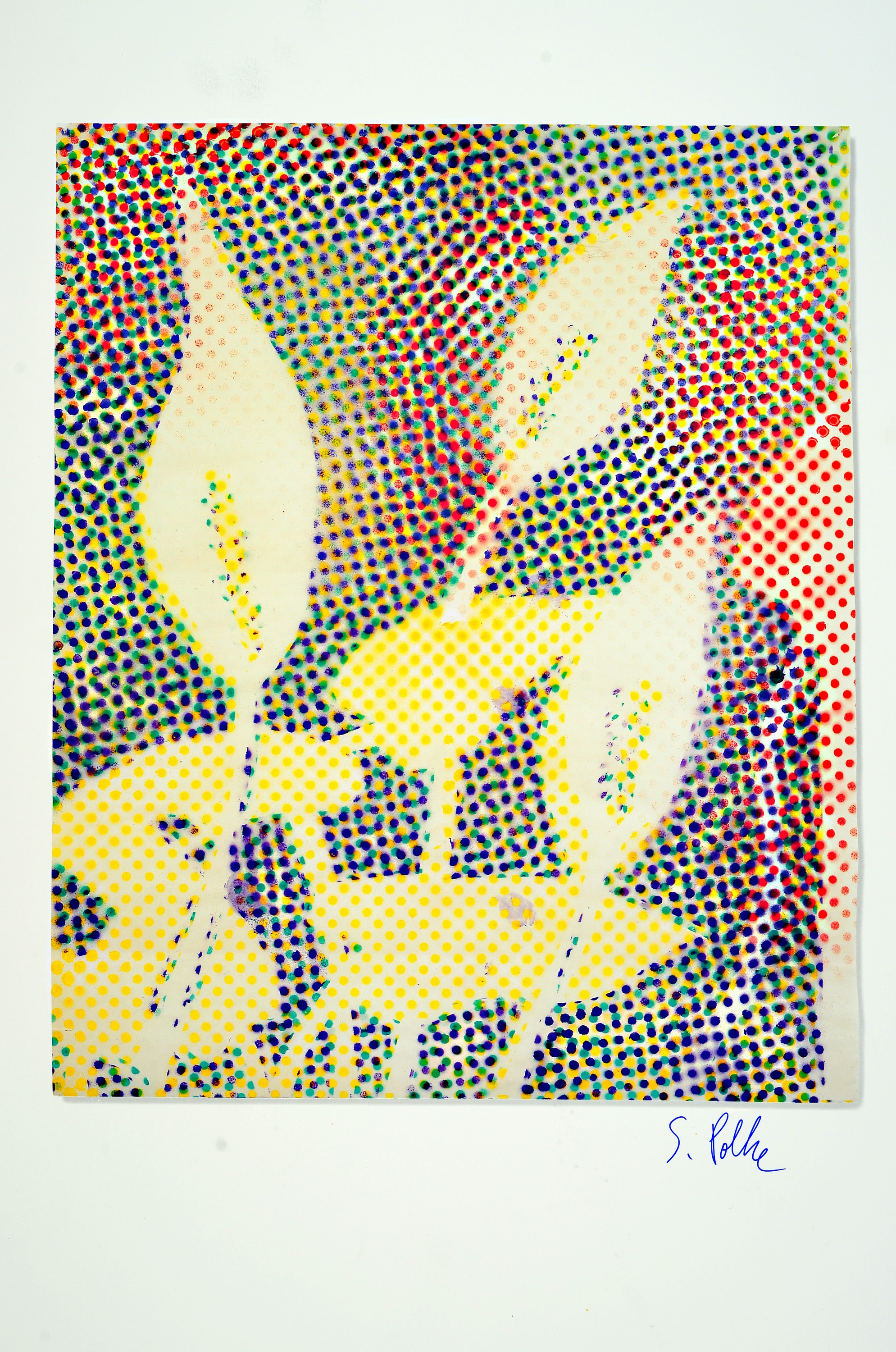 Image 26906377 - Sigmar Polke, 1941 Oels-2010 Köln, ´Calla´, Farboffset, handsigniert in blau, wohl ...