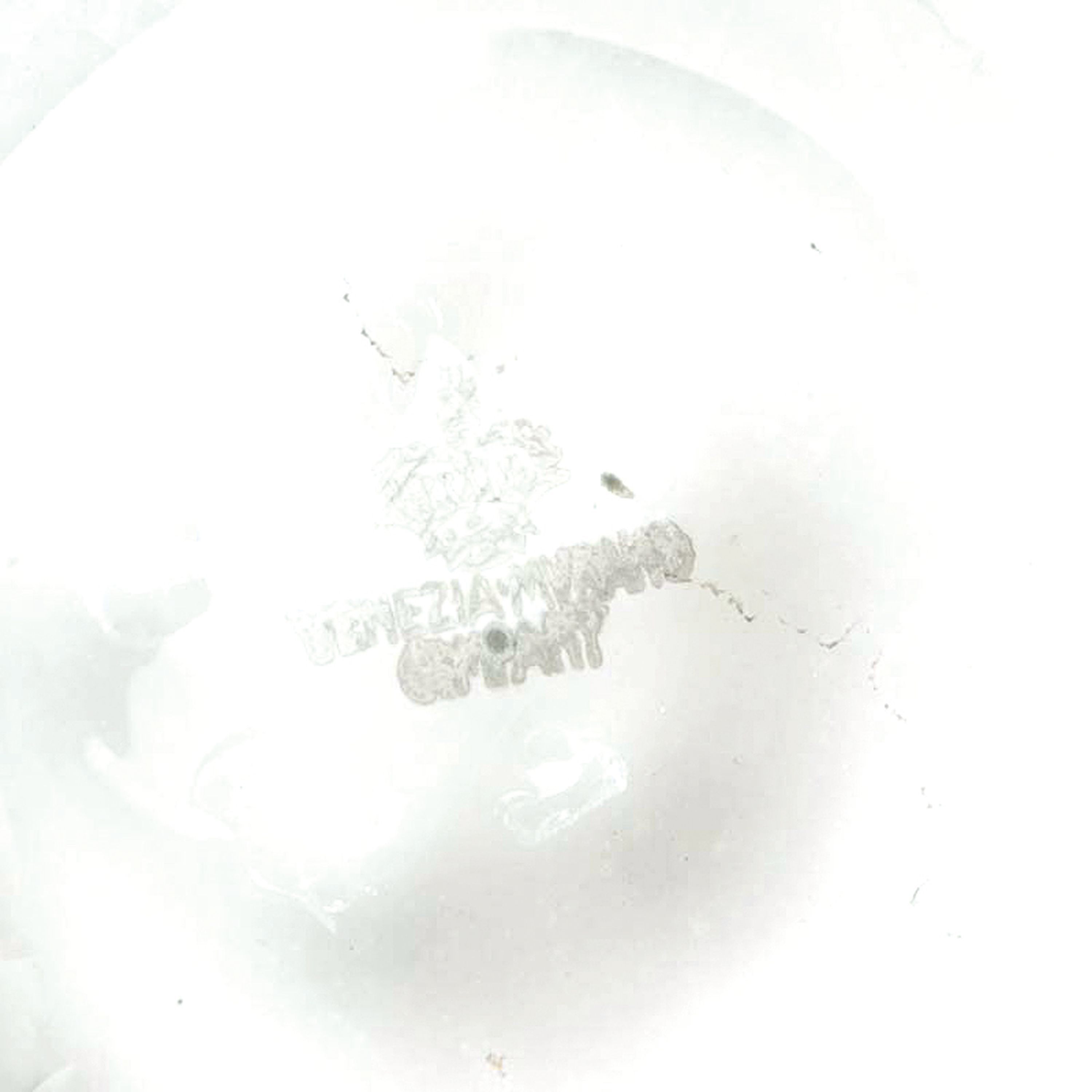 Detail c: Runde Schale, Venezia Murano gestempelt, mundgeblasenes farbloses Glas mit blauem Rand, H. ca. 5cm, D. ca. 41cm