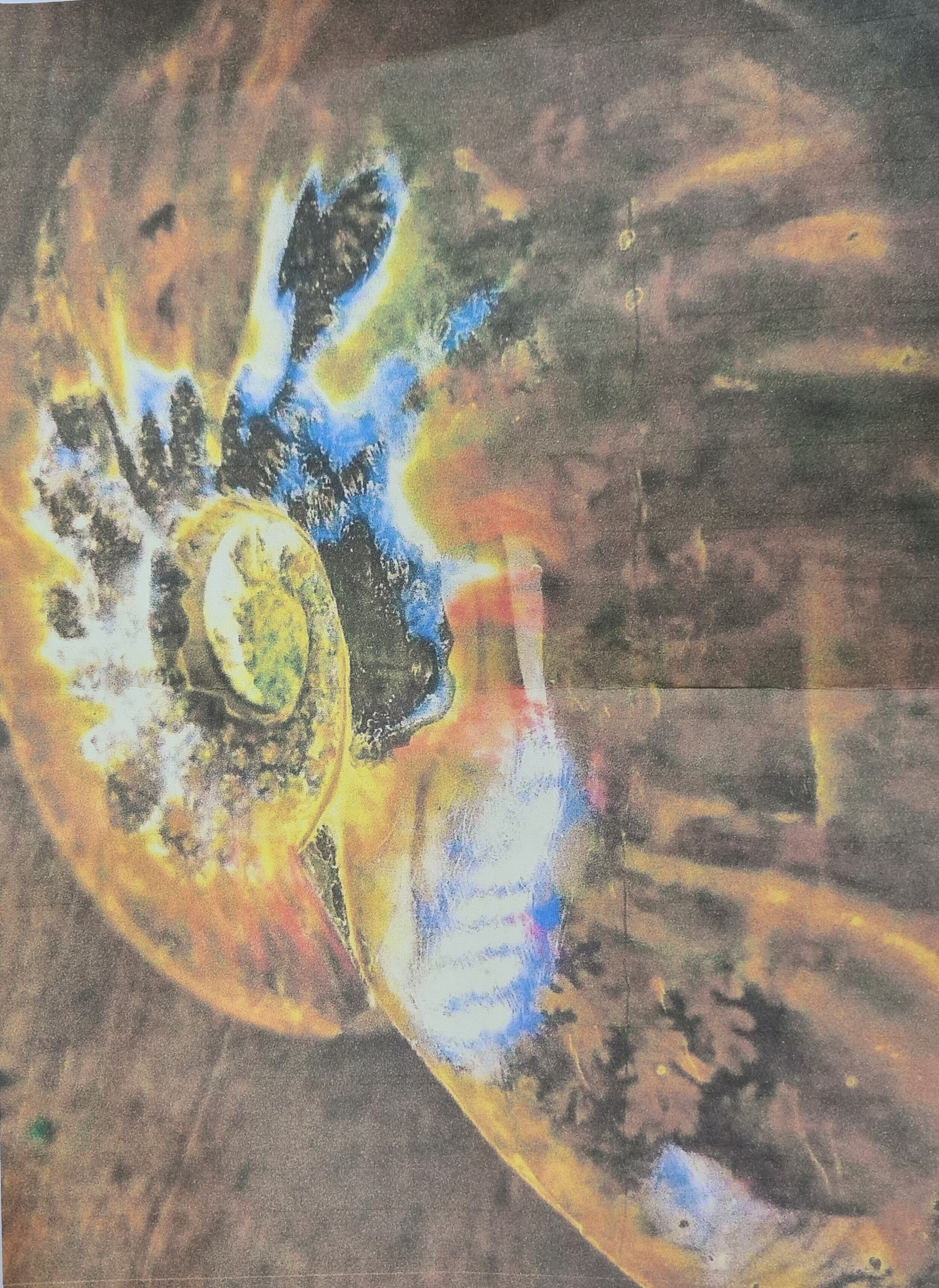 Detail e: Großer u. massiver Ammonit, Madagaskar, ca. 100 Mio. Jahre alt, Cleonicera, ein eingerollter, hochquirliger Hoplitide aus dem Unter- bis basalen ...