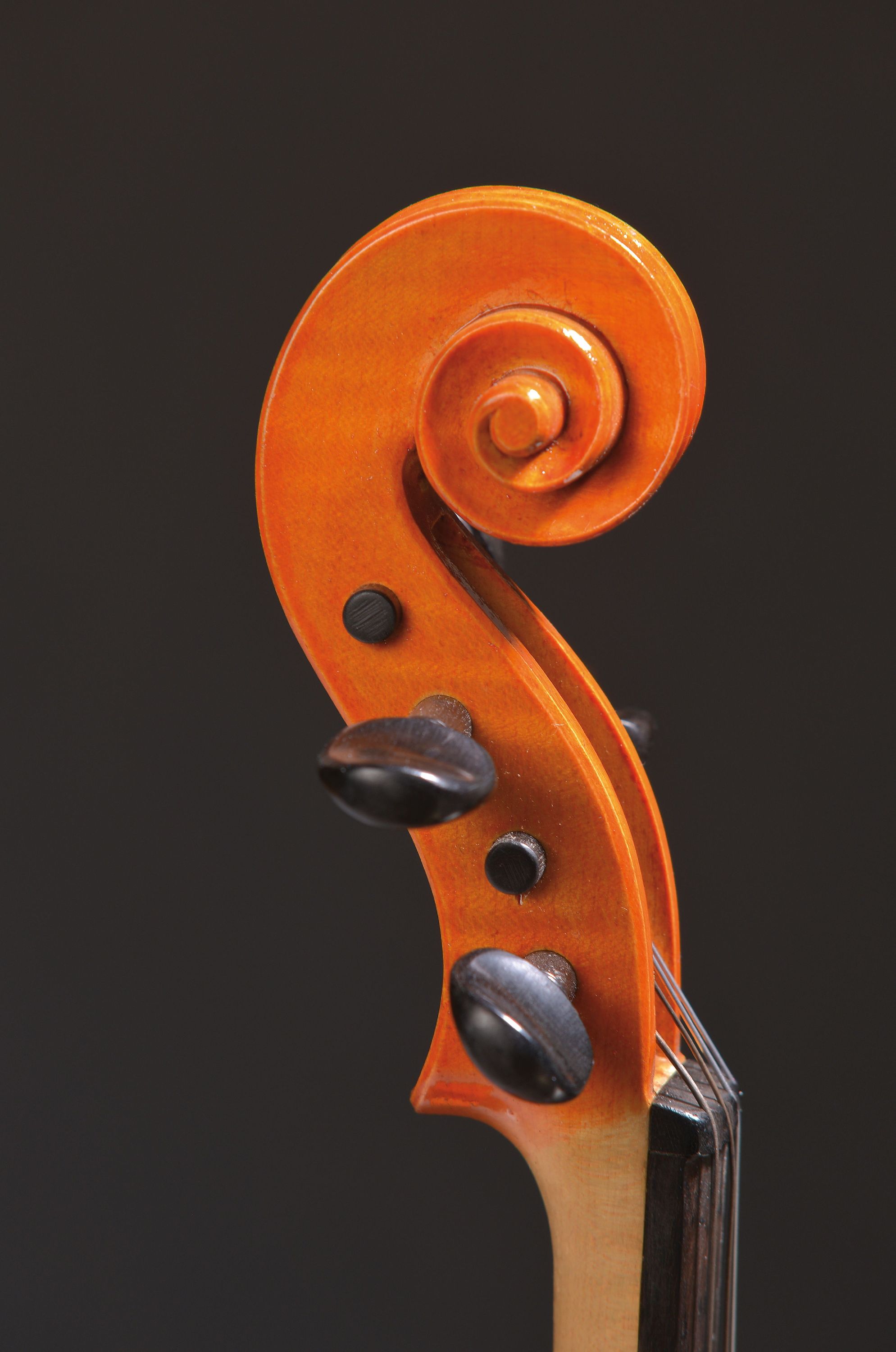 Detail a: Bratsche, Baujahr 2007, Fichtendecke, ganzer Ahornboden, leichte Ansprache und gute Klangfarbe, L. 39cm, in neuem Kasten