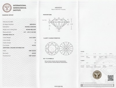 26918753a - Loser Brillant, 0.26 ct feines Weiß(G)/p2, eingeschweißt, mit IGI-Expertise ...
