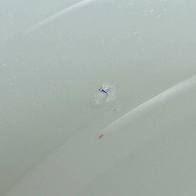26923179f - Glaspokal, Cenedese, Murano, opak milchweißes Glas, Goldrand, Herstelleretikett, ...