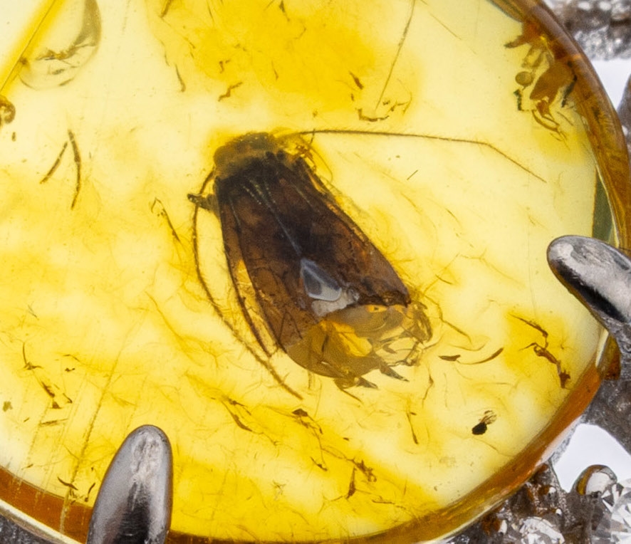 Detail a: Bernstein-Anhänger, 925er Silber, mittig runder Bernstein-Cabochon, mit Insekt als Einschluss, aus dem Eozän, ca. 50 Million Jahre alt, ...