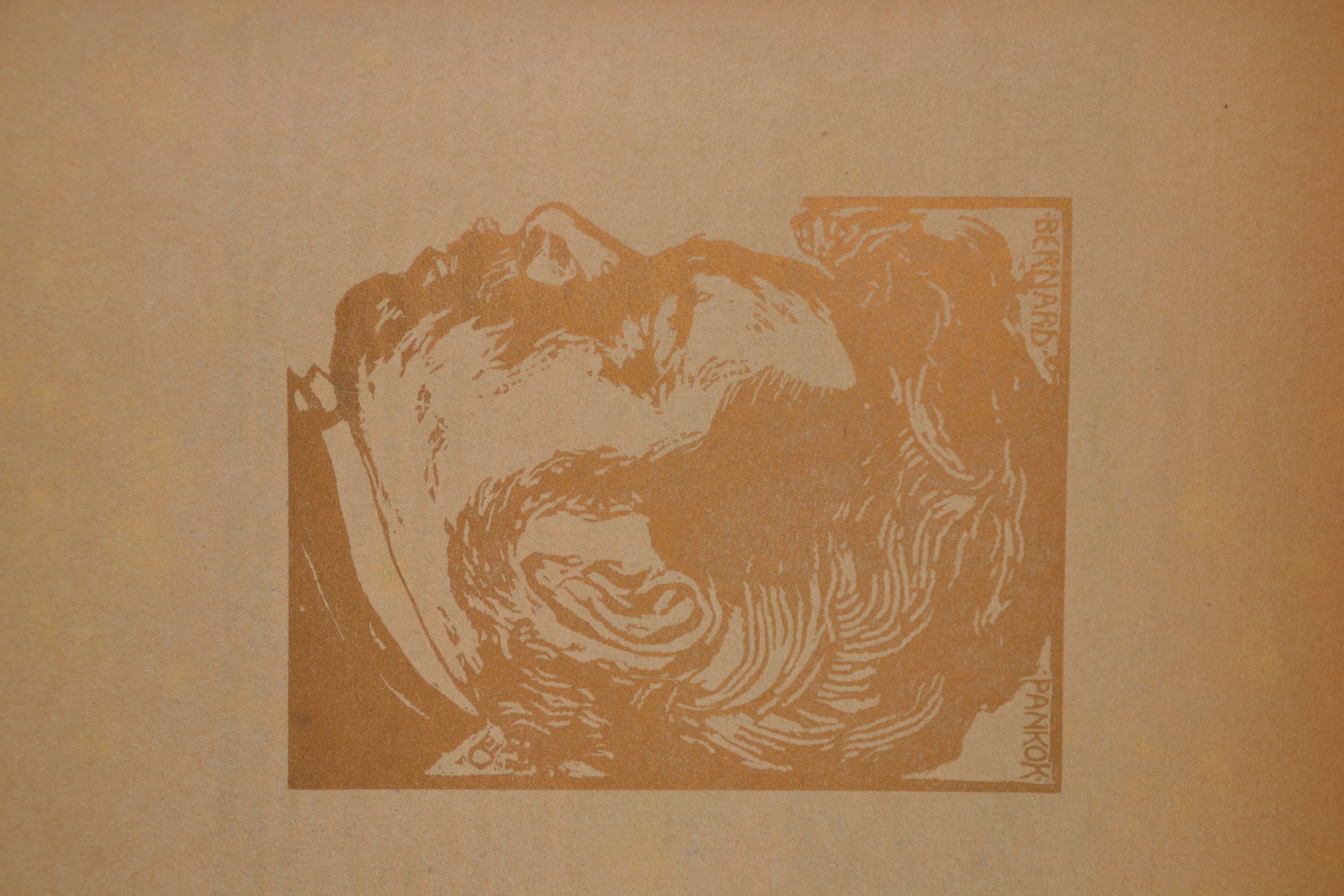 Detail u: Ver Sacrum "Mittheilungen der Vereinigung Bildender Künstler Österreichs", III. Jahr 1900, mit originalem Textileinband von Koloman ...