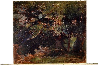 26937245k - Heinrich von Zügel, 1850 Murrhardt - 1941 München, Studie, Baumgruppe mit ...