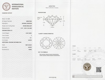 26937326a - Loser Brillant, 0.20 ct feines Weiß+(F)/si1, eingeschweißt, mit IGI-Expertise ...