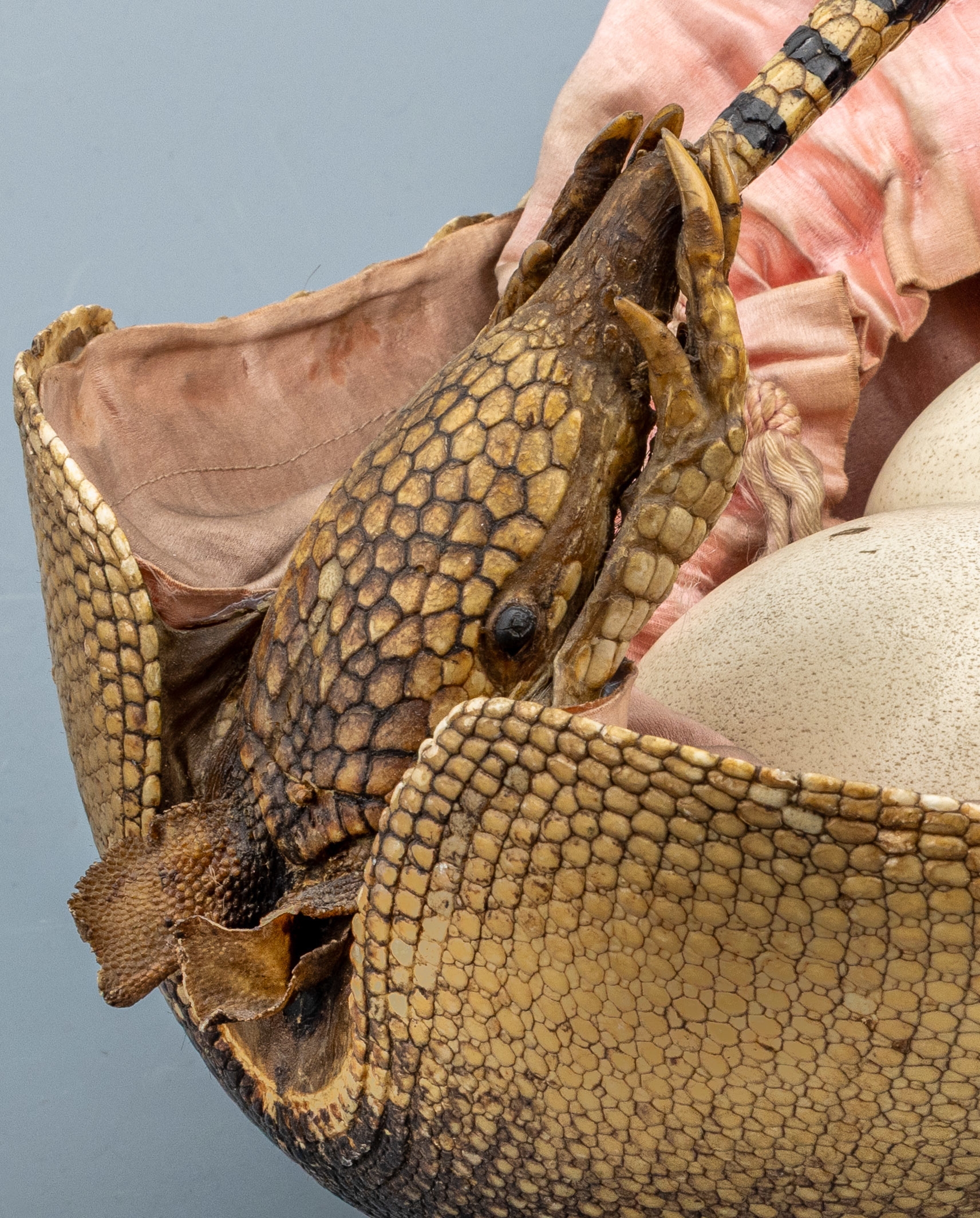 Detail a: Handtasche Gürteltier, Korpus Gürteltierpanzer, innen mit rosafarb. Stoff, ca. 34 x 24 x 21 cm, starke Alters. und Gebr.-Spuren, Ohren besch., ...