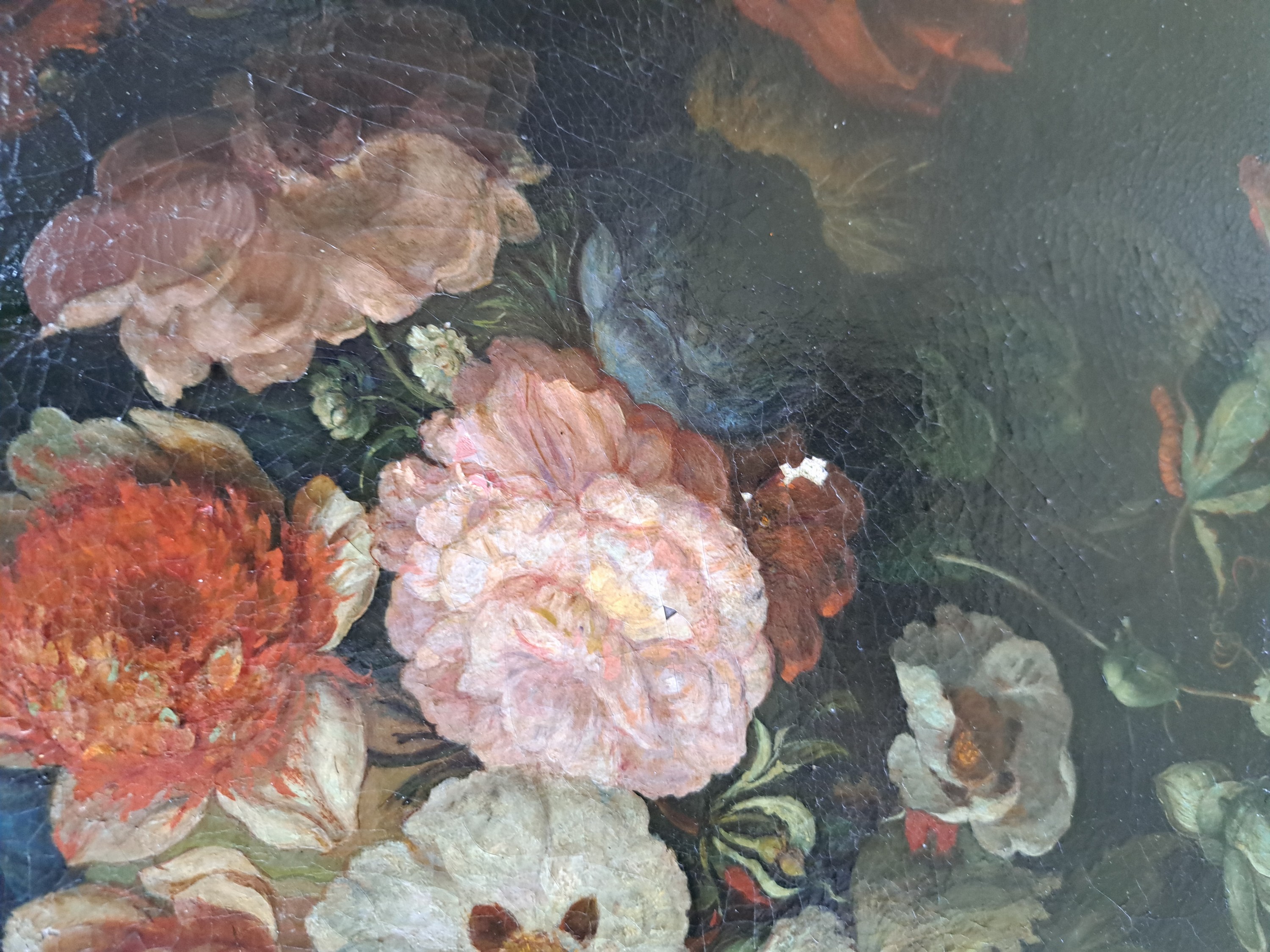 Detail d: Barocker Altmeister, 17./18. Jh., Blumenstück mit Schmetterling, feine lasierende Malerei, hohe Stofflichkeit, krakeliert, alt restauriert, ...