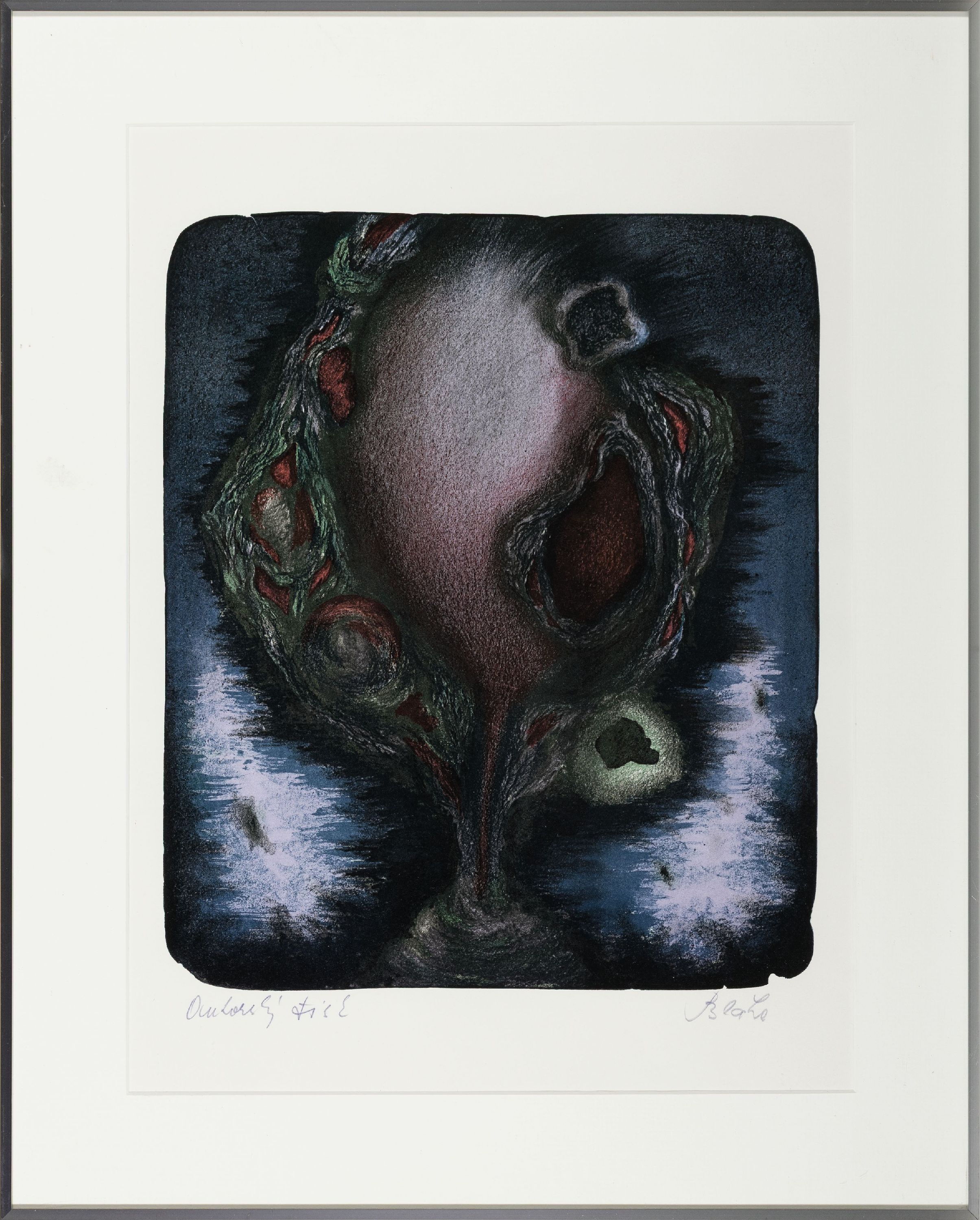 Detail n: Jan Blaha, geb. 1961, zugeschrieben, 4 Farblithographien, metamorphe Fischgestalten, alle handsign., ca. 32x26 bis ca. 42x32cm, alle u.Gl., R.