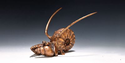 Image Gernot Rumpf, 1941 Kaiserslautern - 1925, "Schneckenhummer", signiert u. 2x ...