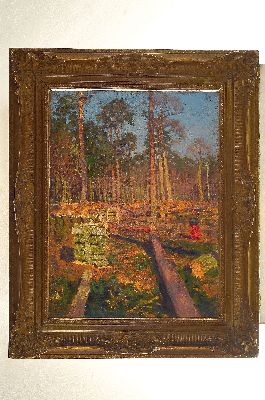 26948154k - Wilhelm Öertel, 1870 Frankfurt - 1933 Mannheim, Kiefernwald im Abendlicht mit ...