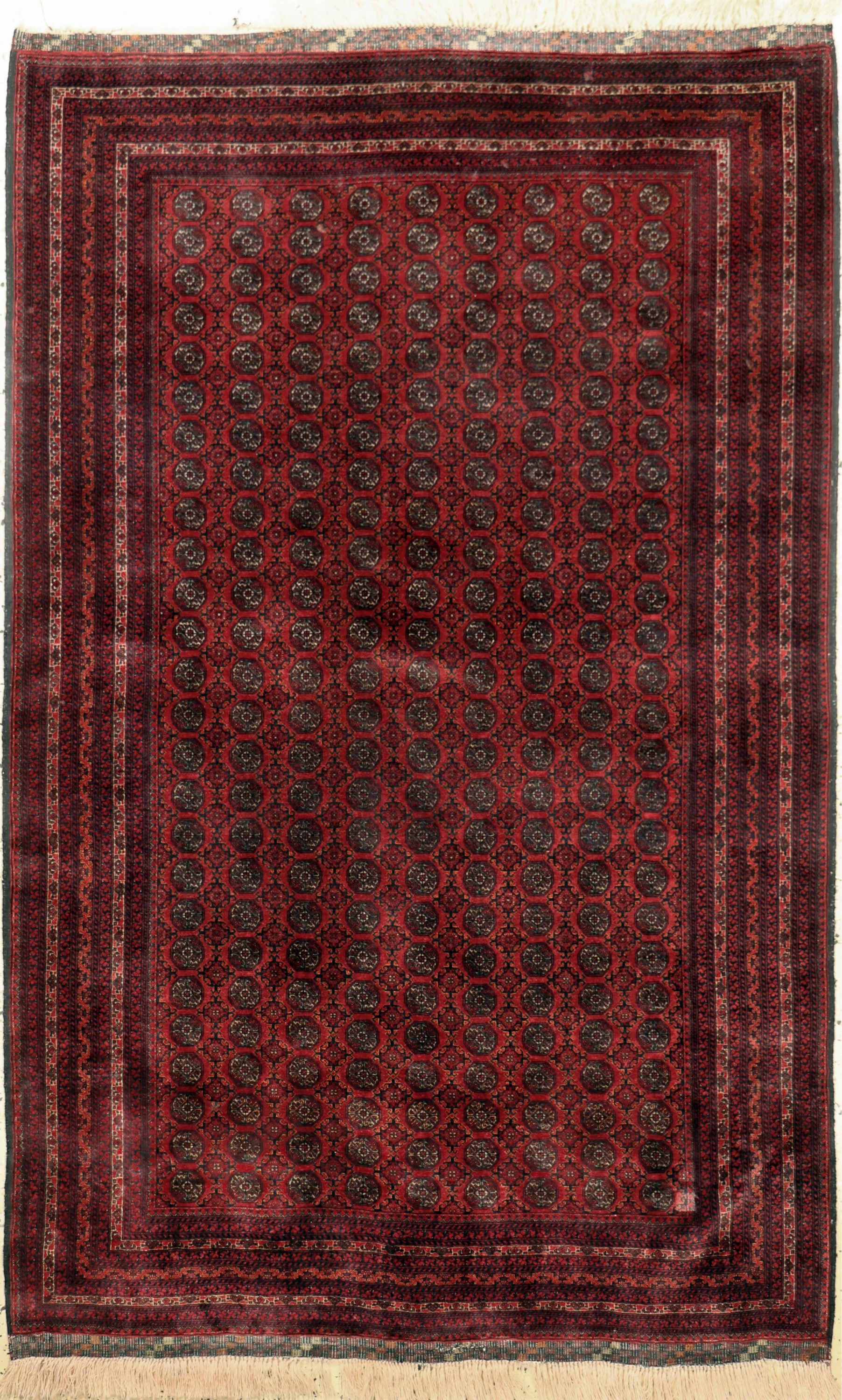 Khalmohammadi fein, Afghanistan, Ende 20.Jhd, Korkwolle auf Wolle, ca. 200 x 130 cm,EHZ: 2