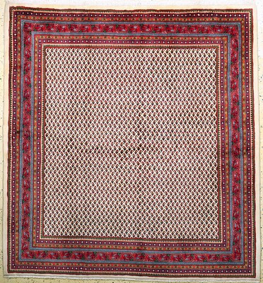 Image 26948842 - Sarogh Mir, Persien, Neuwertig, Wolle auf Baumwolle, ca. 230 x 217 cm Schätzpreis: ...