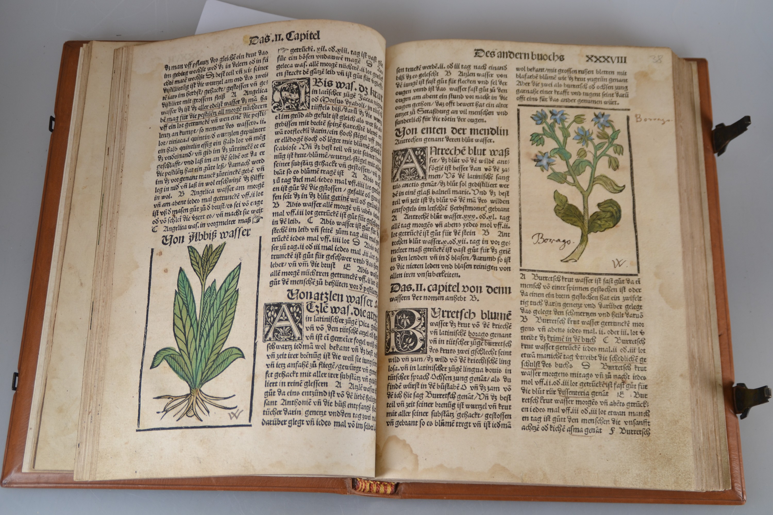 Detail b: Hieronymus Brunschwig (um 1450-1512): Das Destilierbuch, Straßburg, Johann Grüninger 1515, Lex. 8°, 130 gezählte Folios mit ungezähltem Zusatz ...